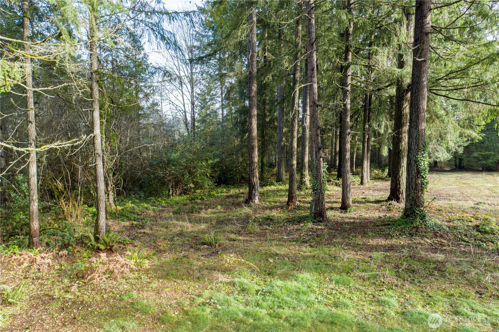0 Satsop Avenue Property Photo 11