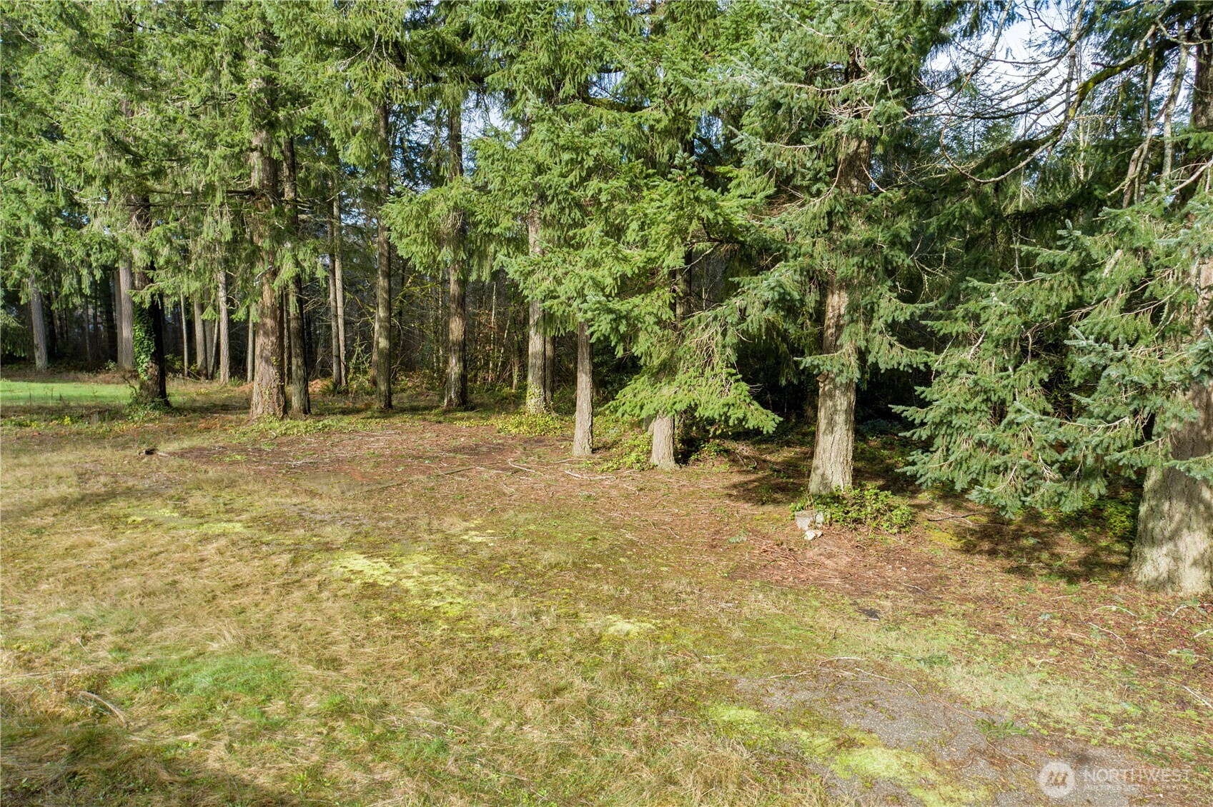 0 Satsop Avenue Property Photo 12