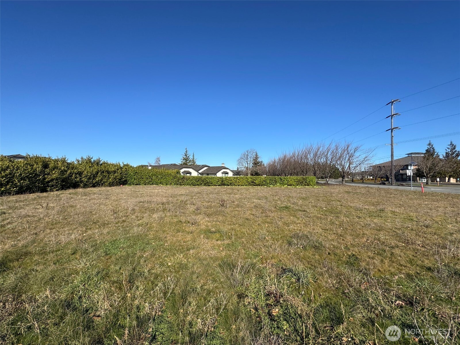 955 N 5th Avenue Property Photo 24