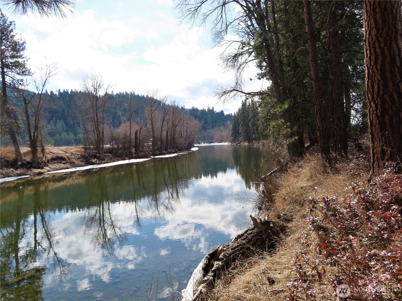 0 Lot 8 Highway 21 Property Photo 1