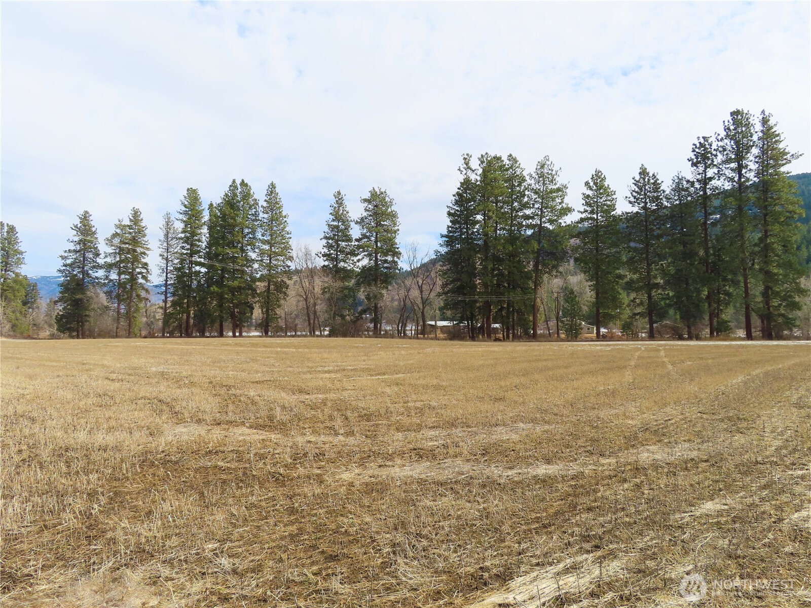 0 Lot 8 Highway 21 Property Photo 4