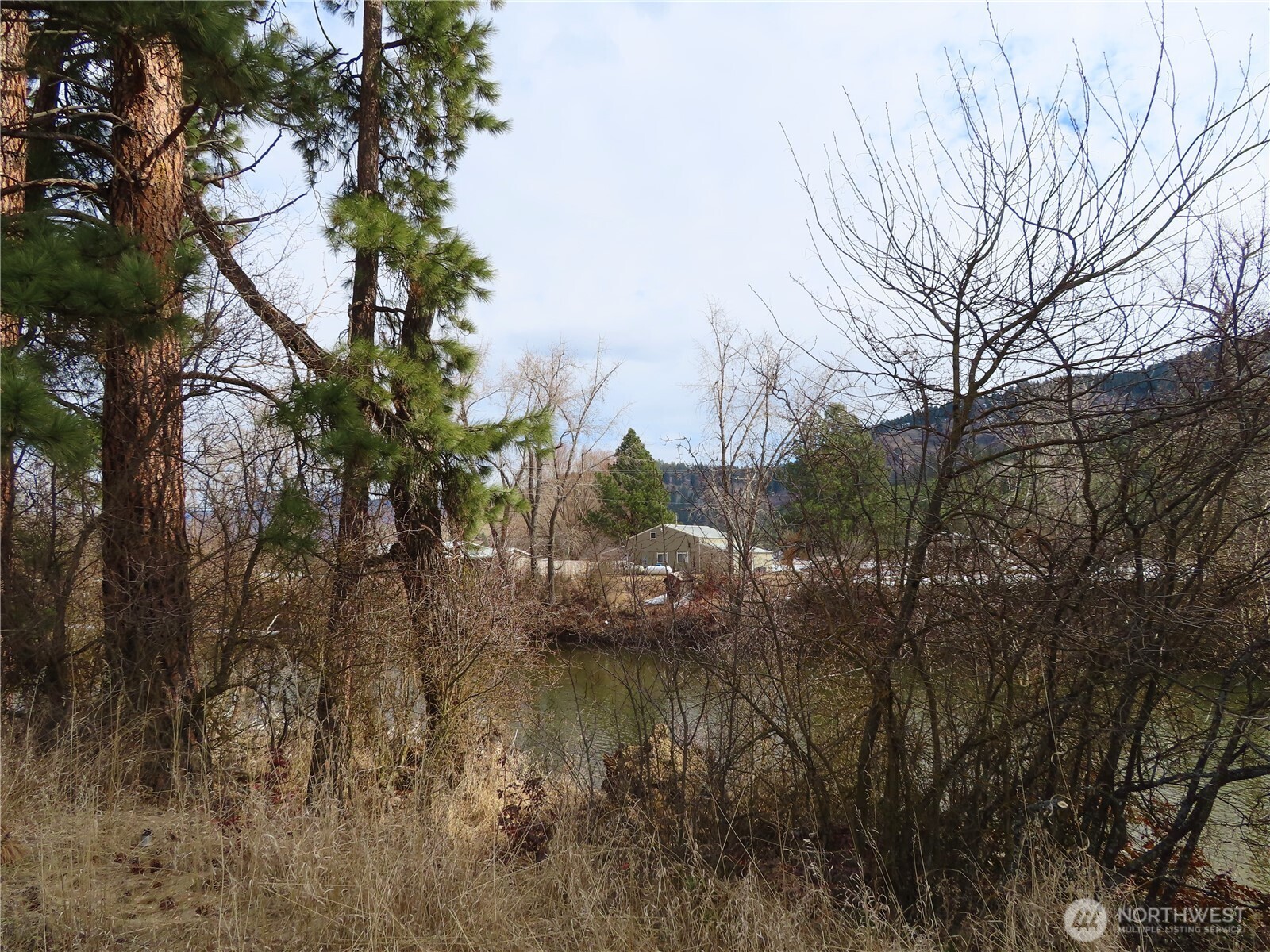 0 Lot 8 Highway 21 Property Photo 11