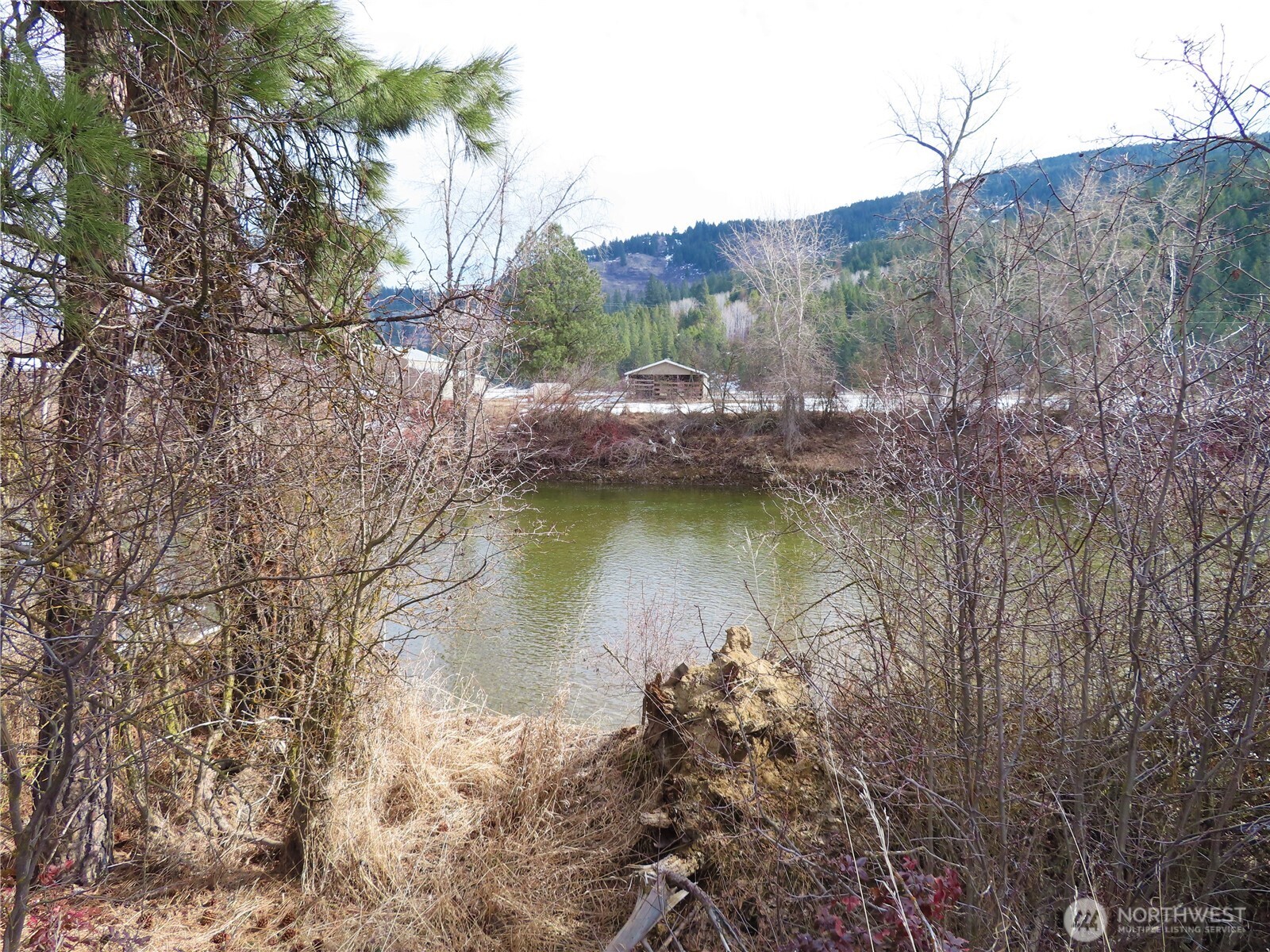 0 Lot 8 Highway 21 Property Photo 12