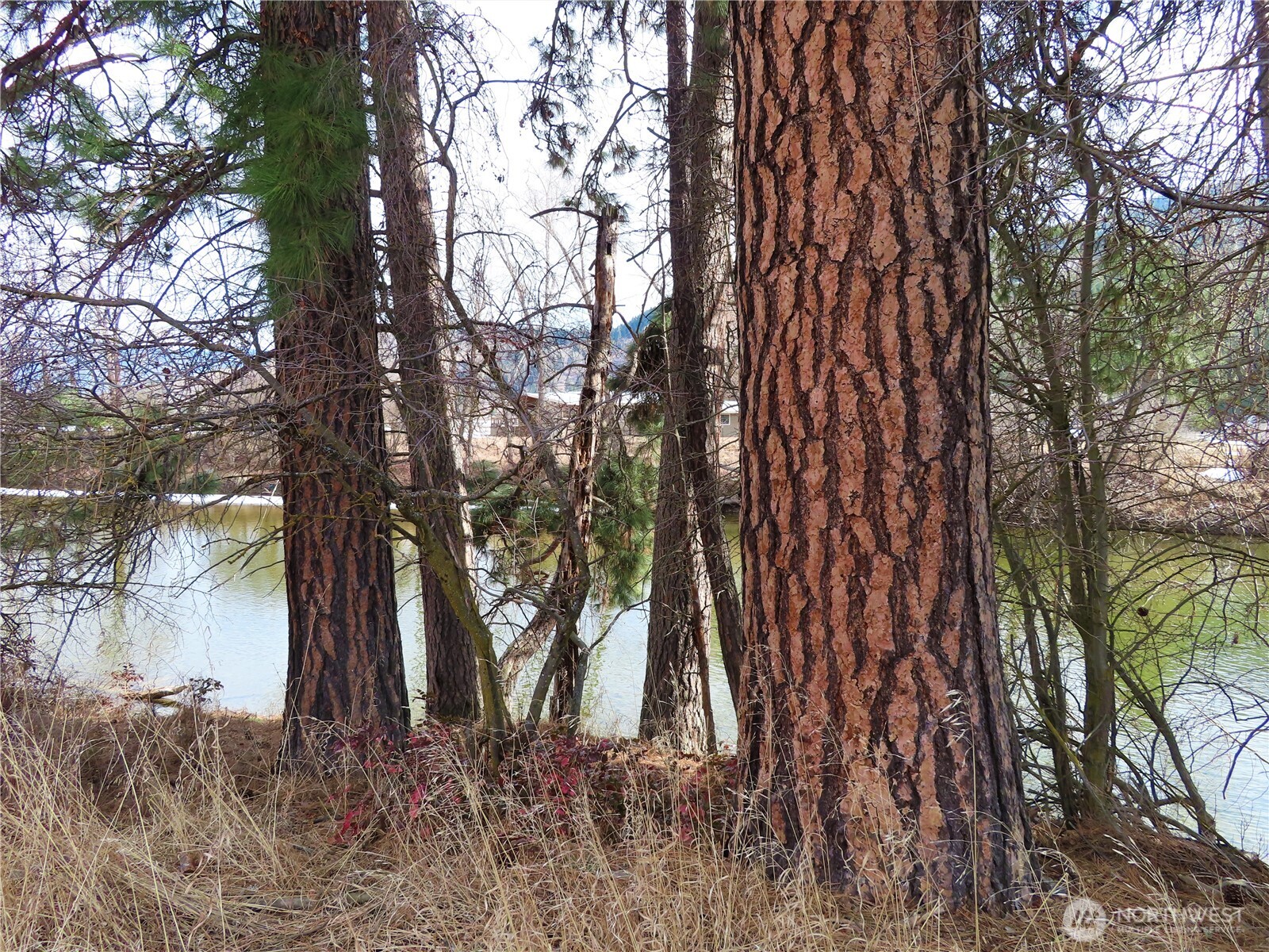 0 Lot 8 Highway 21 Property Photo 17