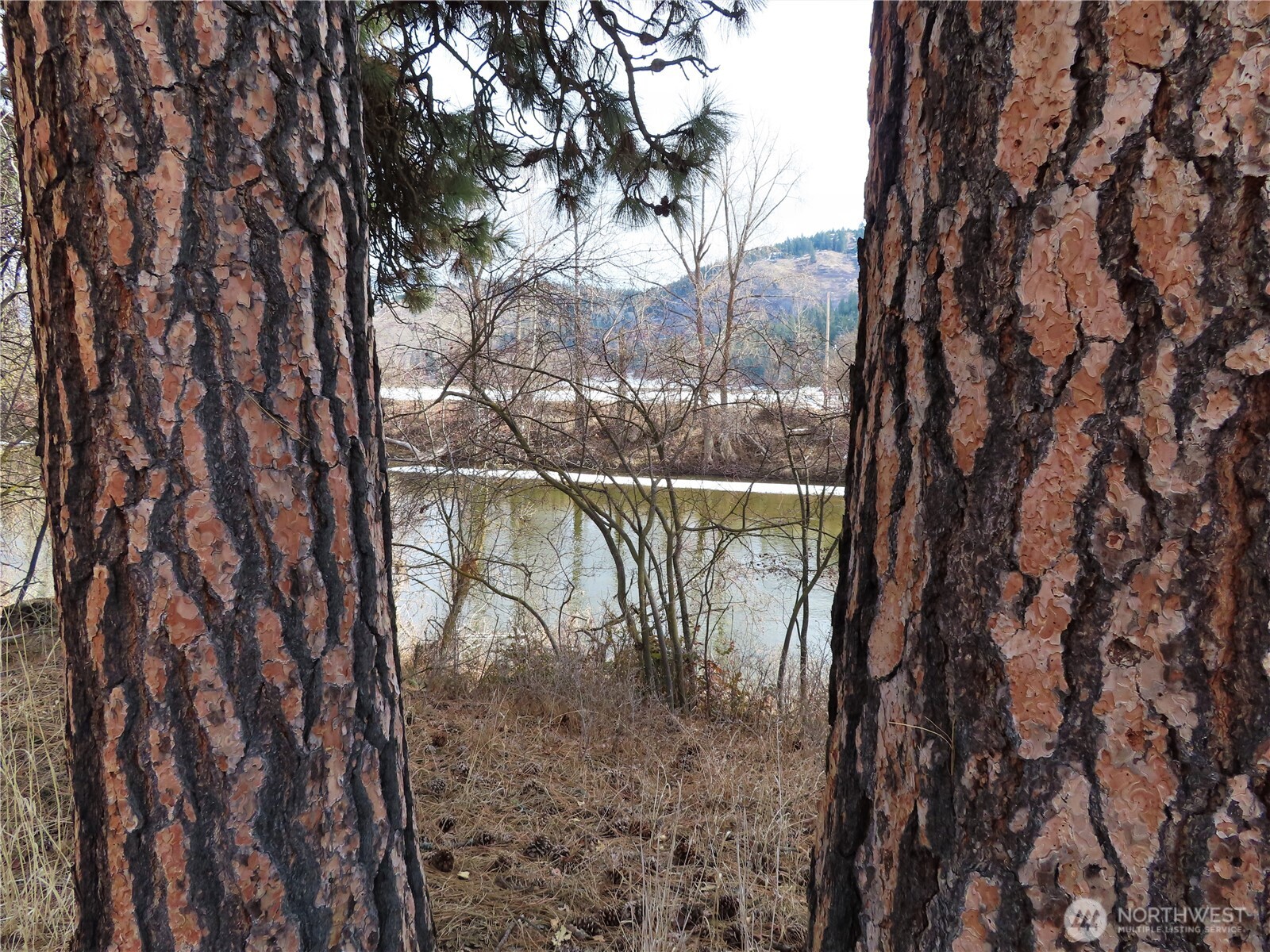 0 Lot 8 Highway 21 Property Photo 21