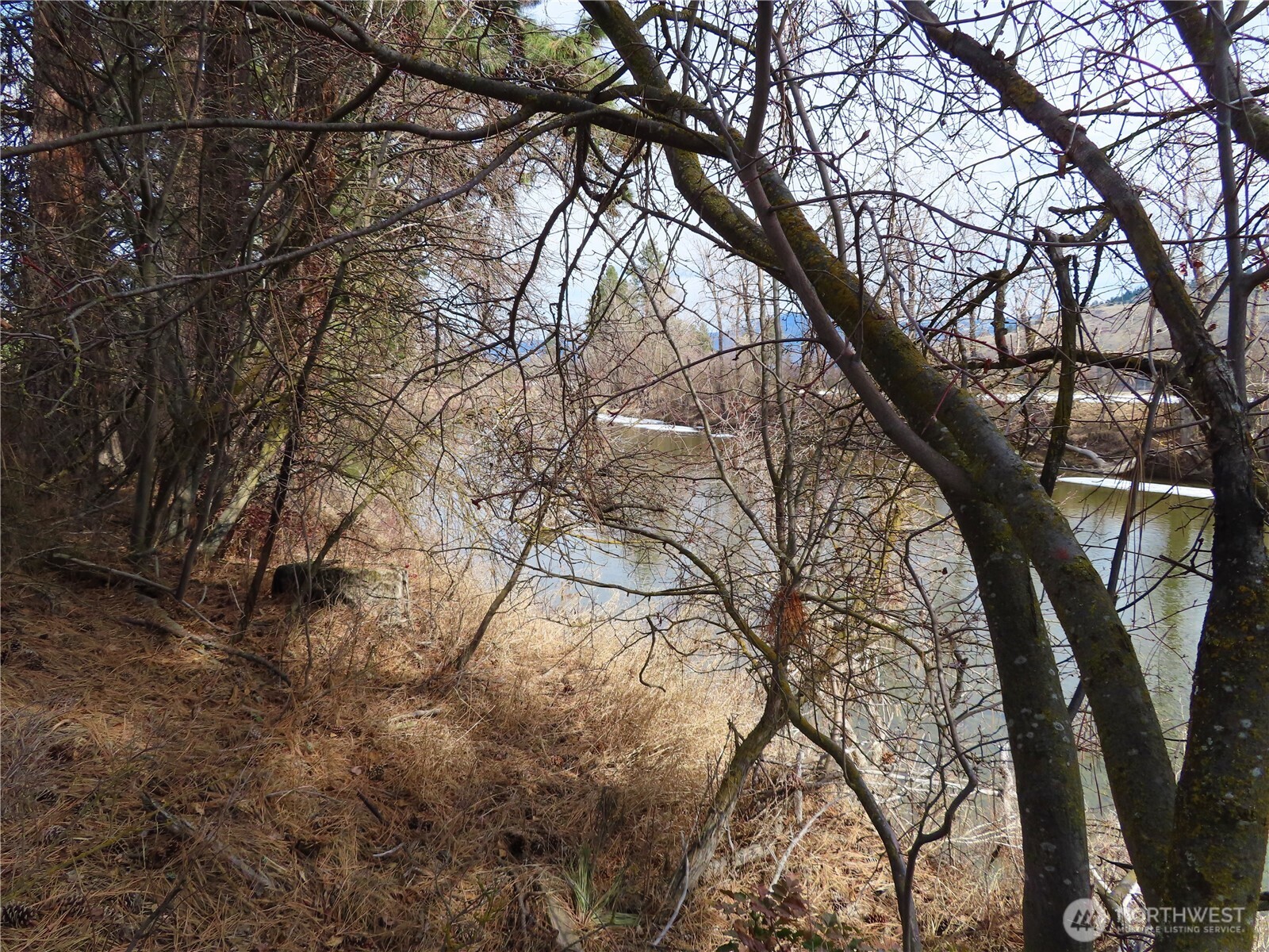 0 Lot 8 Highway 21 Property Photo 23