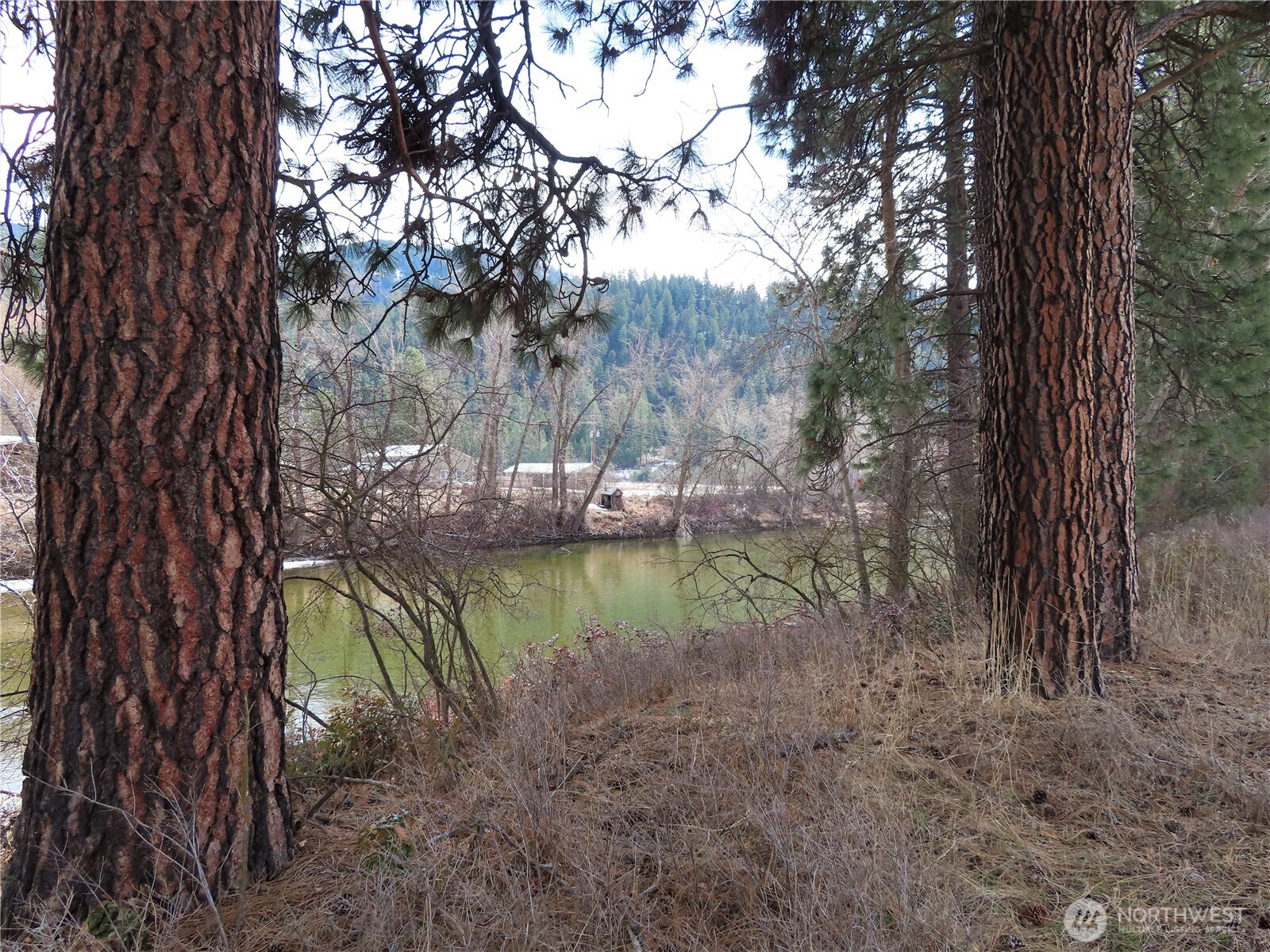 0 Lot 8 Highway 21 Property Photo 25
