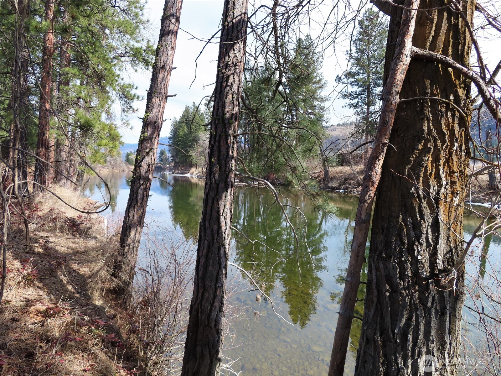 0 Lot 8 Highway 21 Property Photo 28