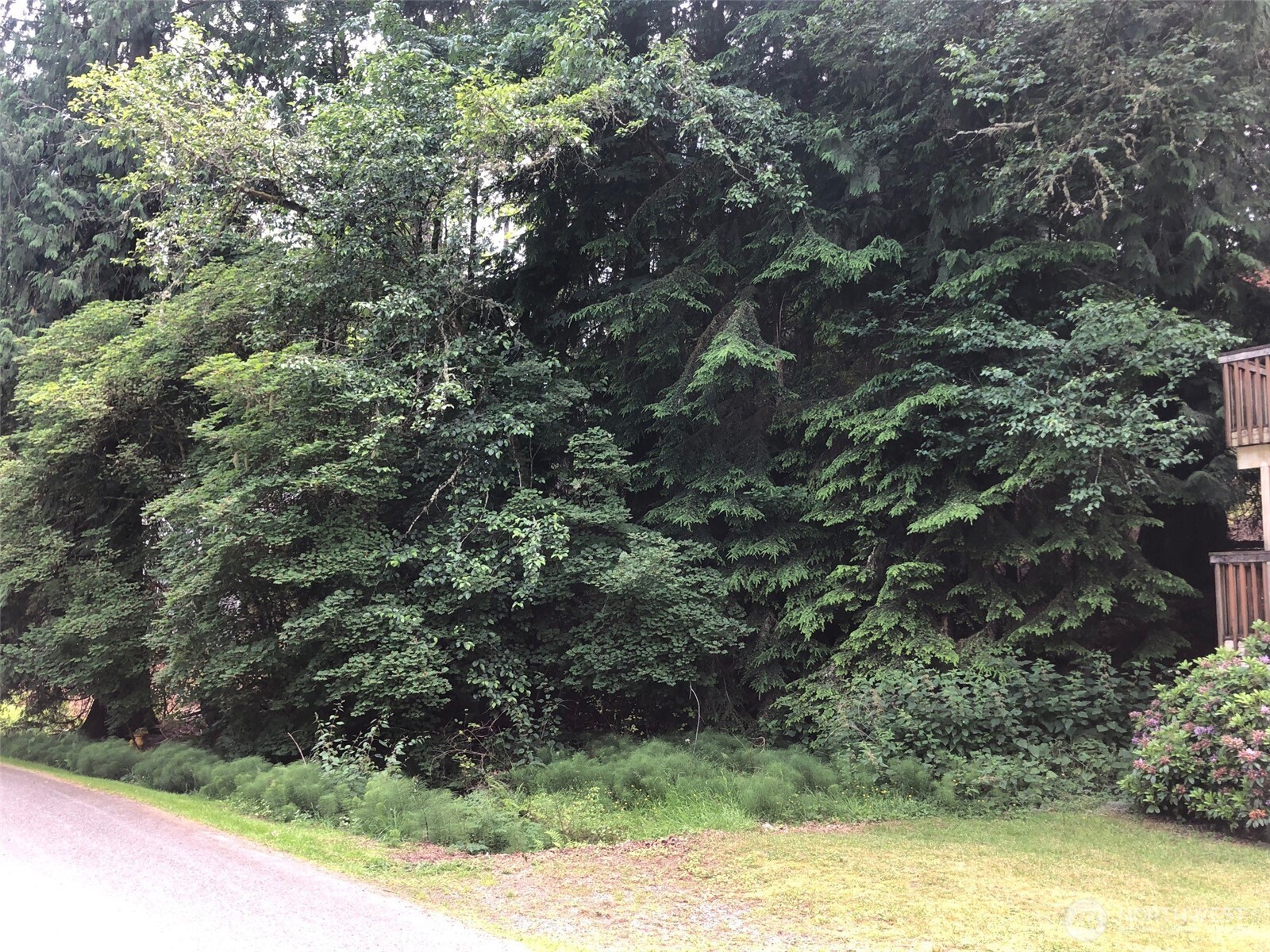 8 Twin Flower Circle Property Photo 3