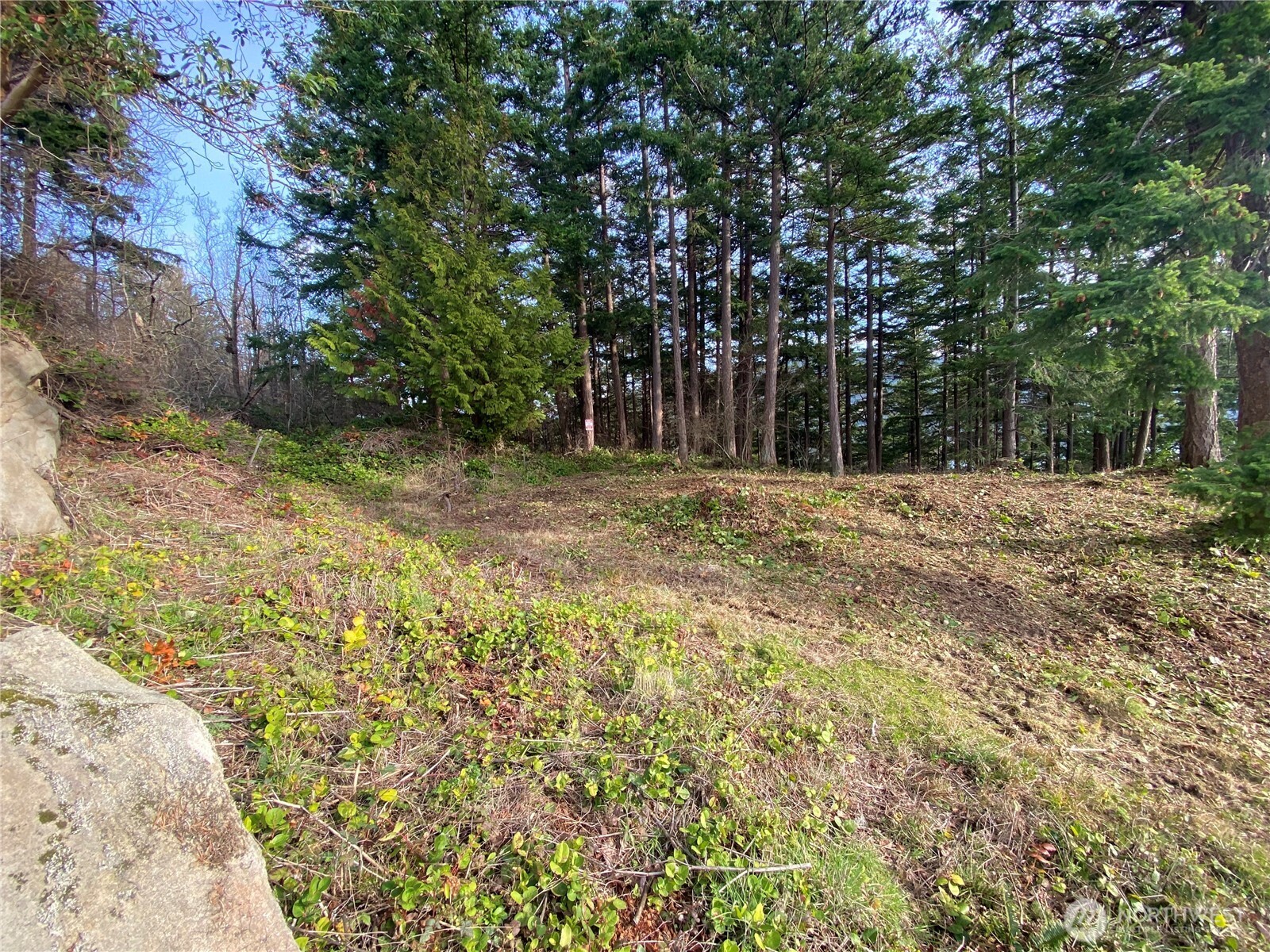 417 Arbutus Place Property Photo 7