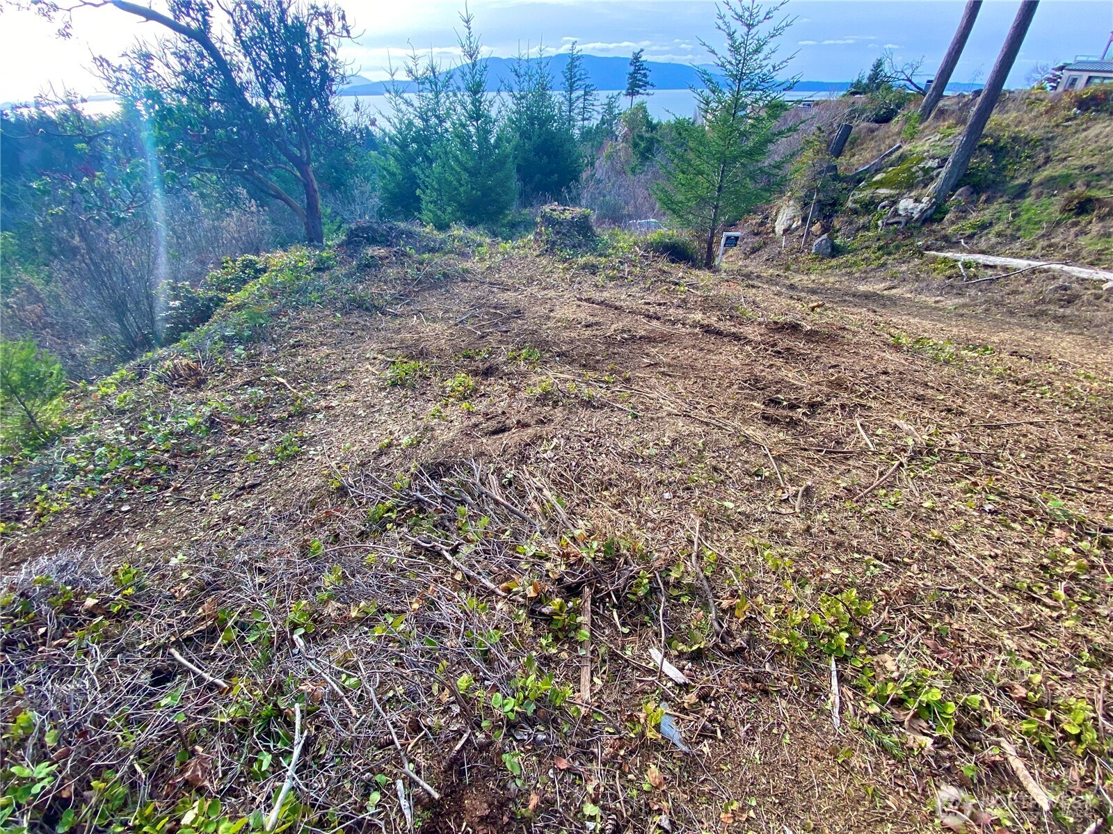 417 Arbutus Place Property Photo 11