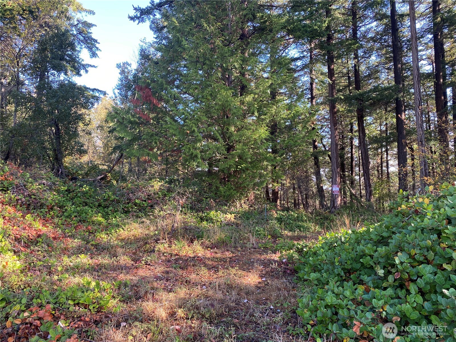 417 Arbutus Place Property Photo 14