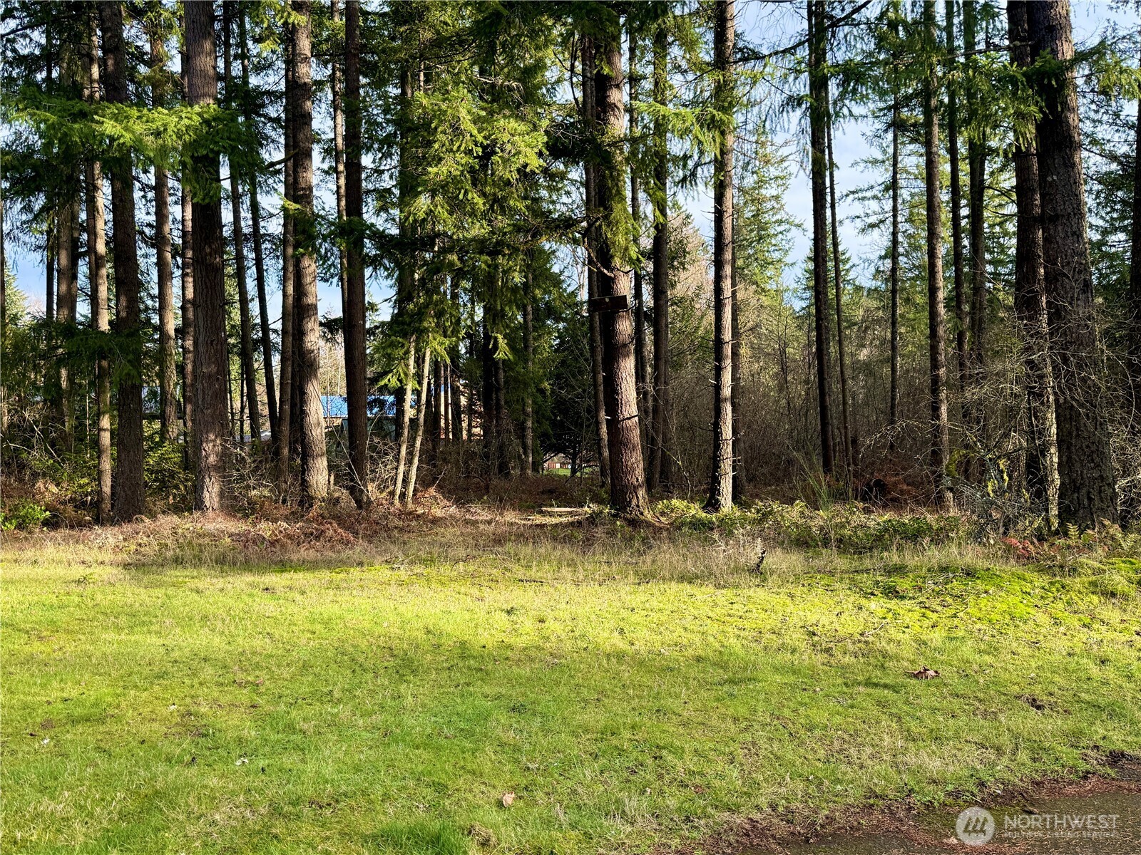 20403 Se 248th Street Property Photo 10