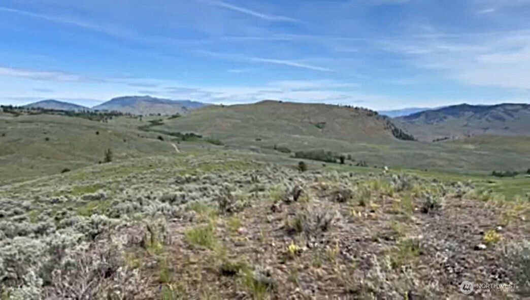 2 Tbd Ellemeham Mountain Road Property Photo 1
