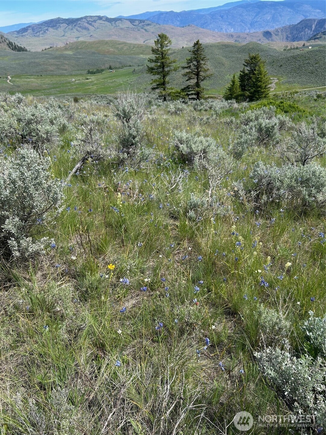 2 Tbd Ellemeham Mountain Road Property Photo 3