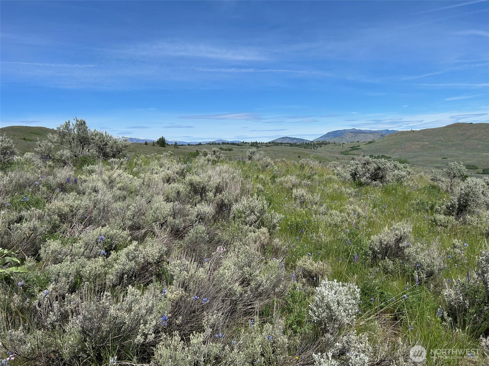 2 Tbd Ellemeham Mountain Road Property Photo 4