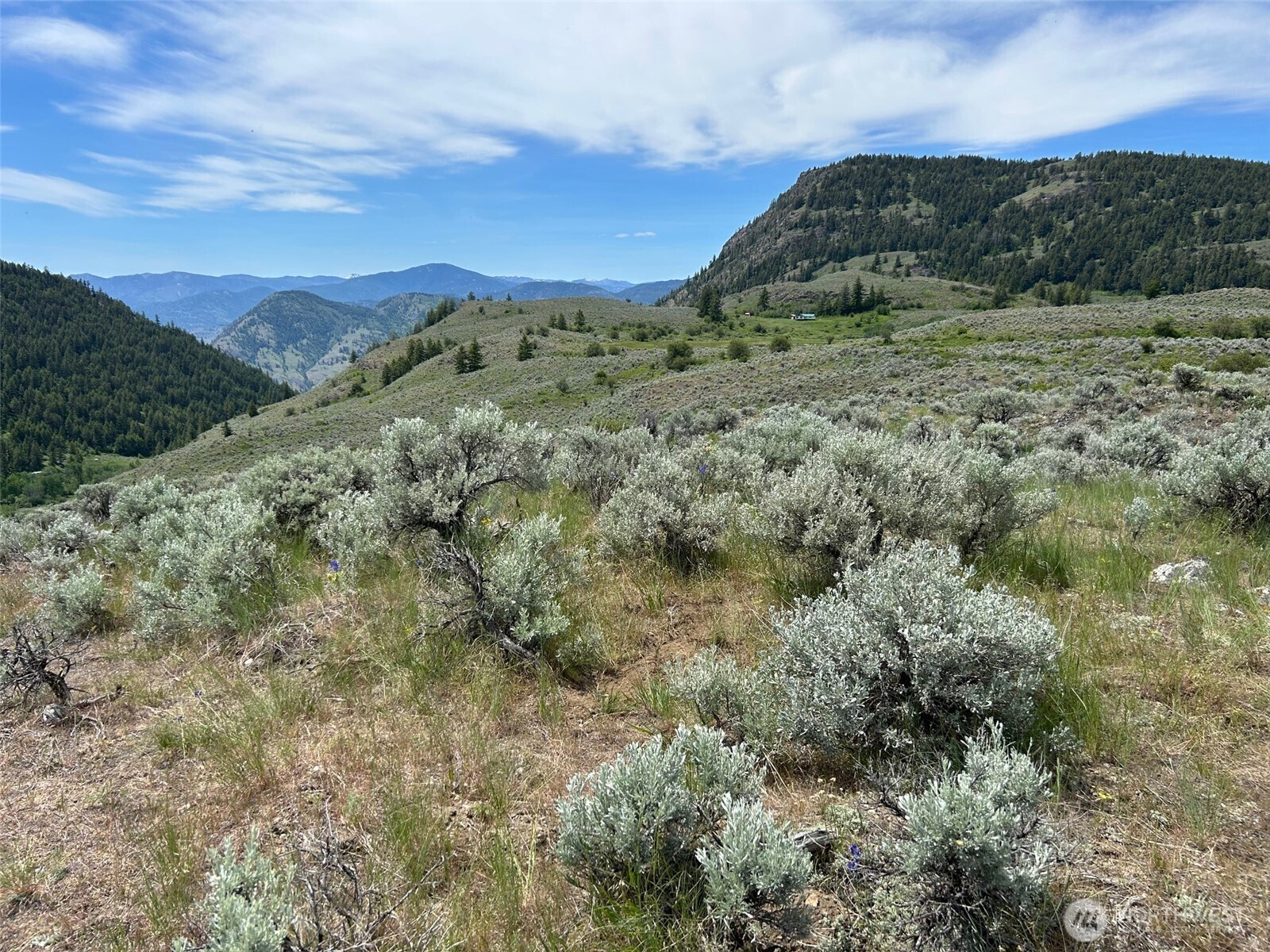 2 Tbd Ellemeham Mountain Road Property Photo 5