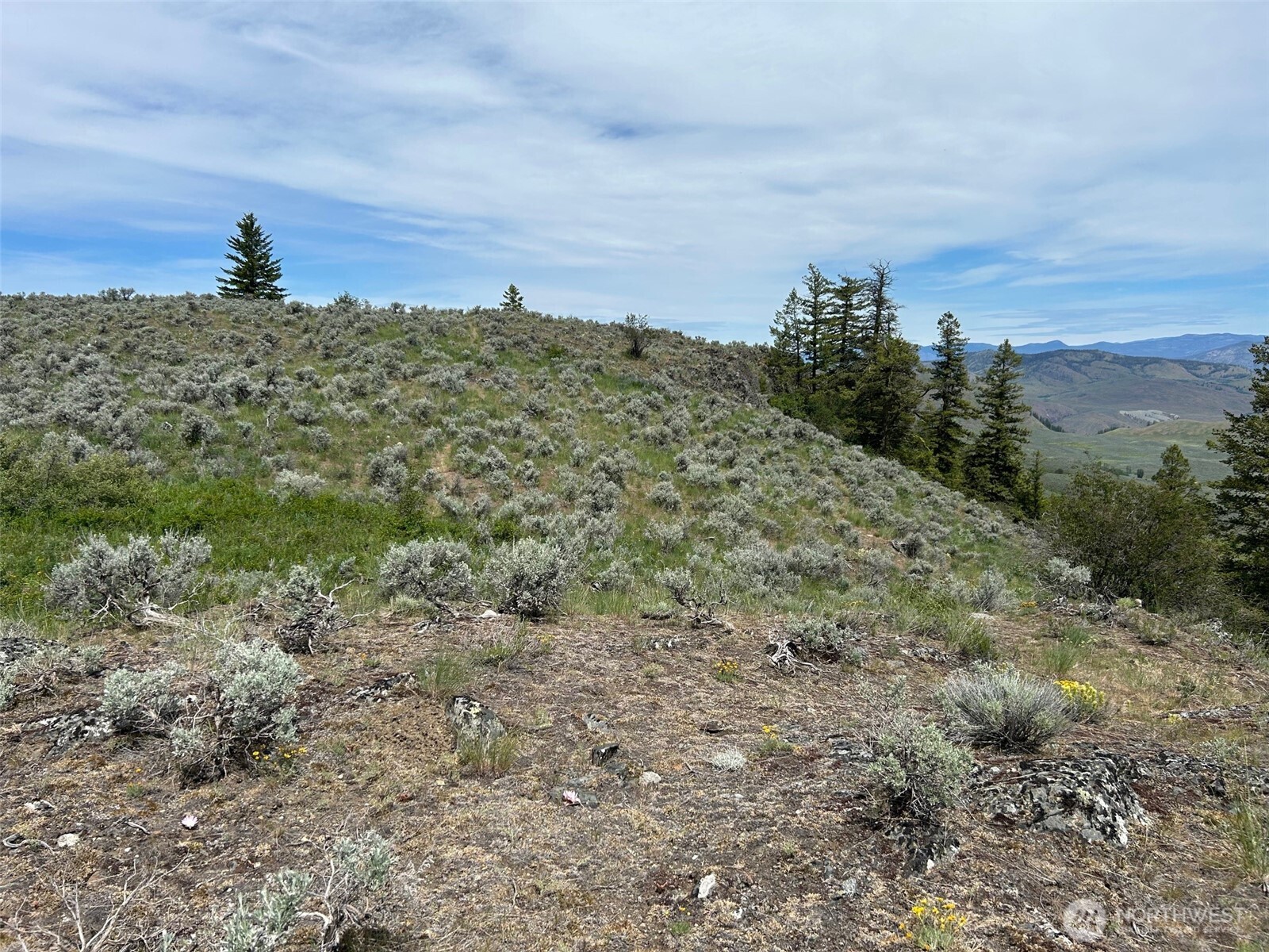 2 Tbd Ellemeham Mountain Road Property Photo 6