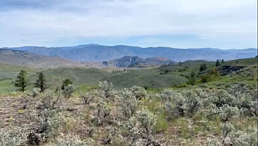 2 Tbd Ellemeham Mountain Road Property Photo 7