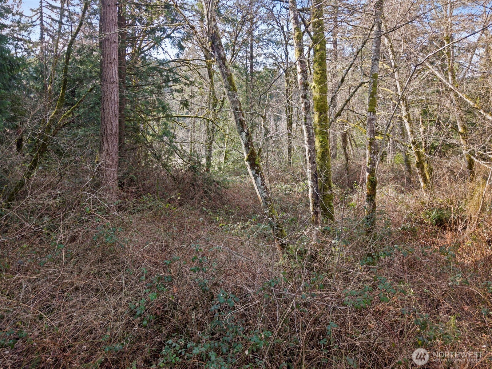 13 Xxx Olalla Valley Road Property Photo 11