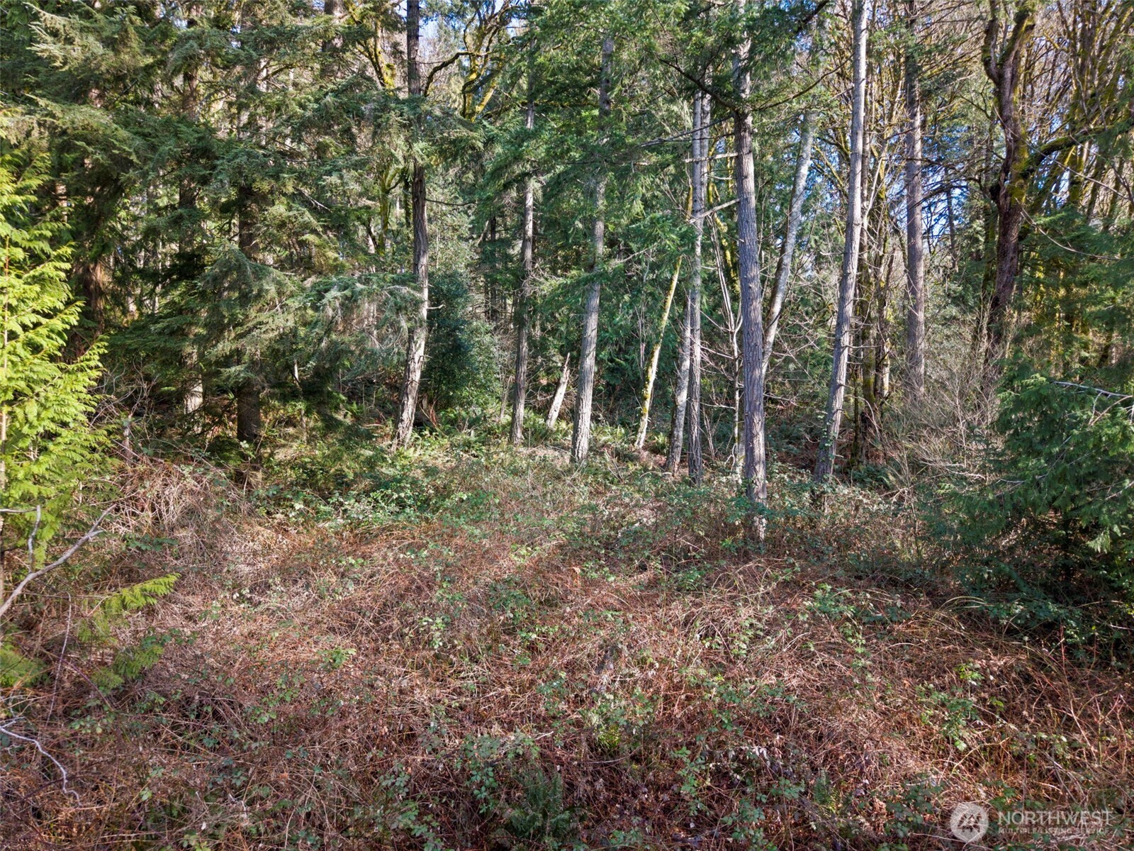 13 Xxx Olalla Valley Road Property Photo 13