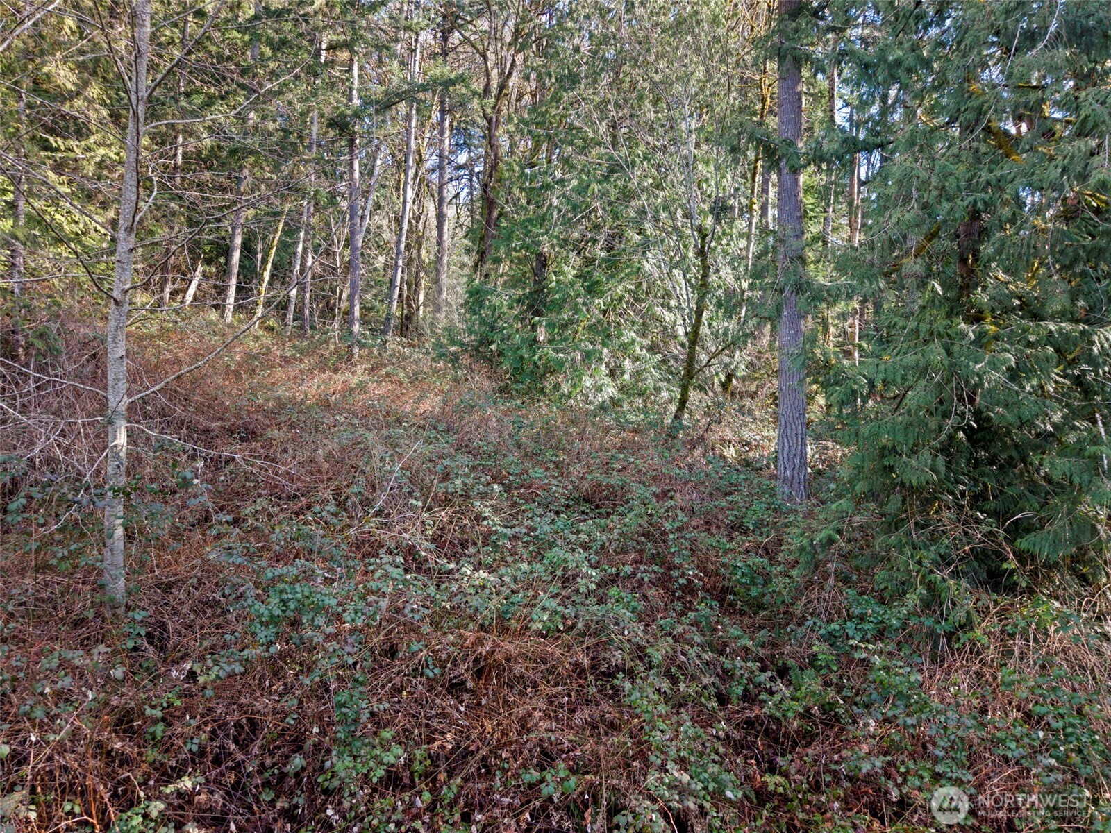 13 Xxx Olalla Valley Road Property Photo 12
