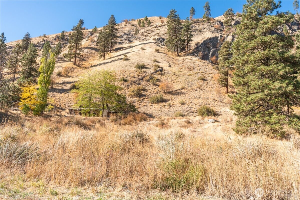 21300 Us Highway 97a Property Photo 5