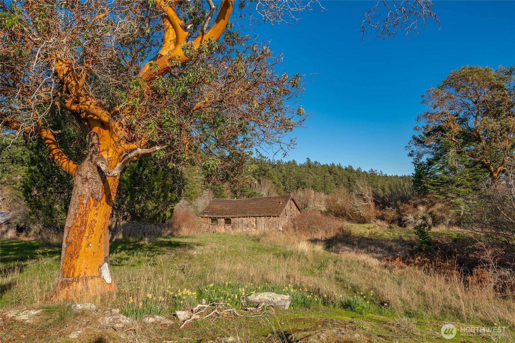1014 Ben Nevis Loop Property Photo 33