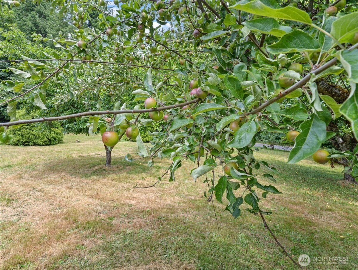 4154 Mt Brynion Rd Property Photo 24