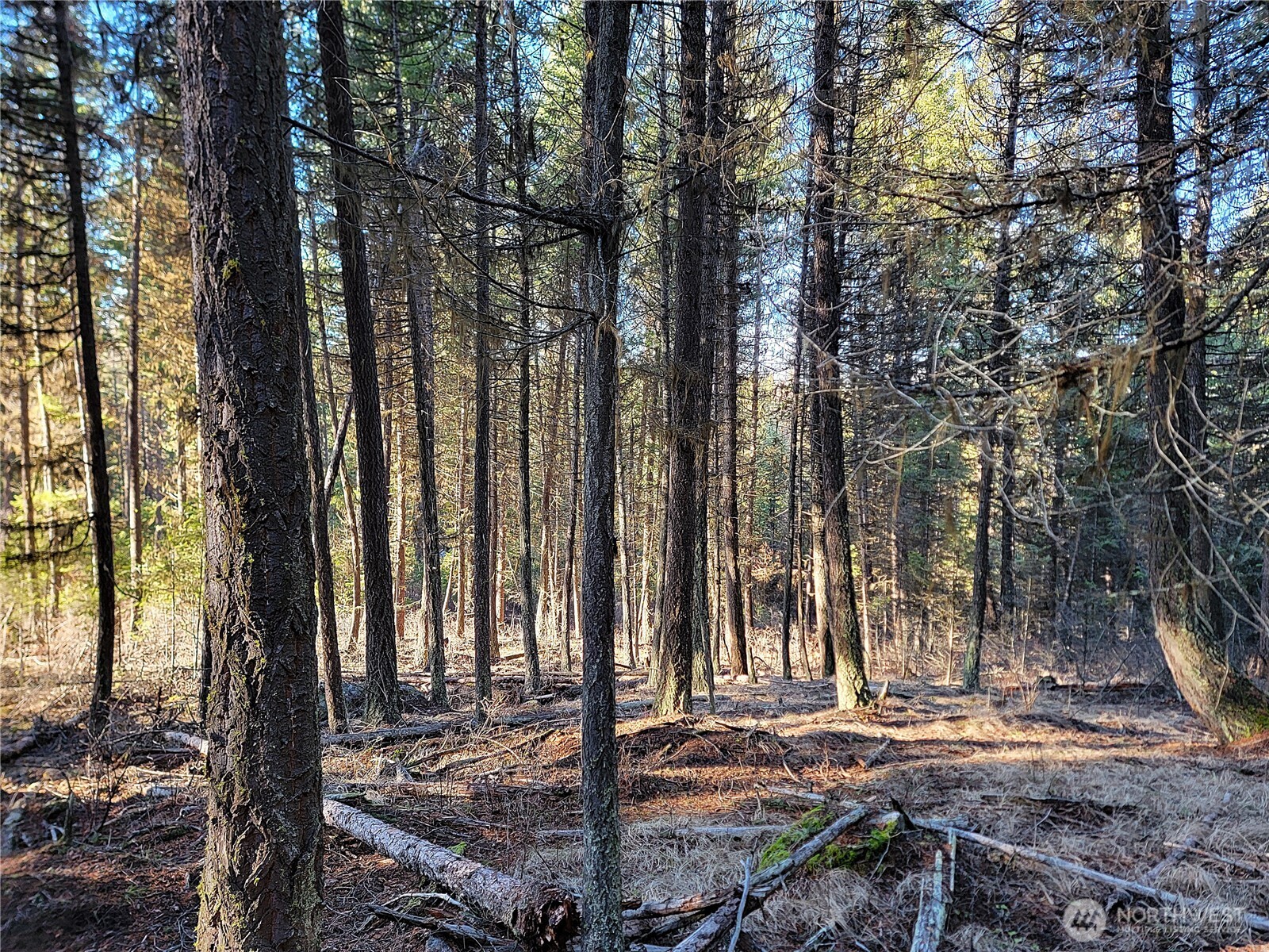 9999 Tbd Lundimo Meadows Road Property Photo 1