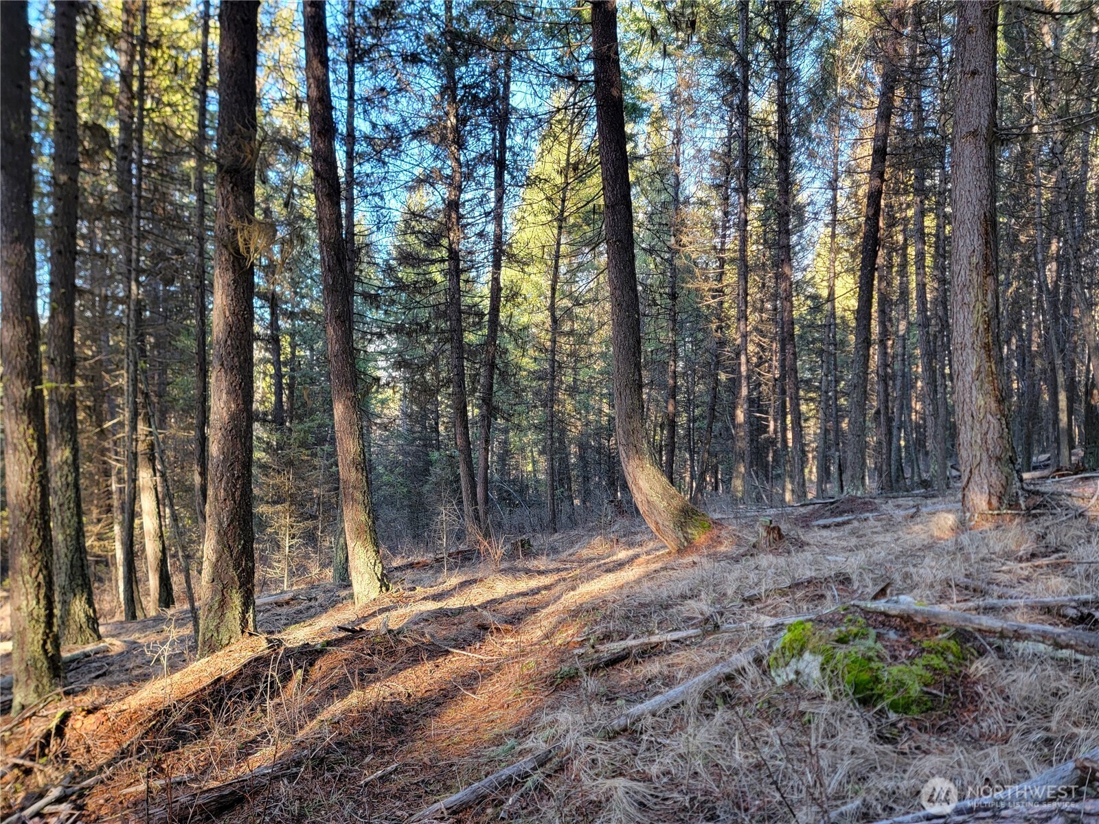 9999 Tbd Lundimo Meadows Road Property Photo 2