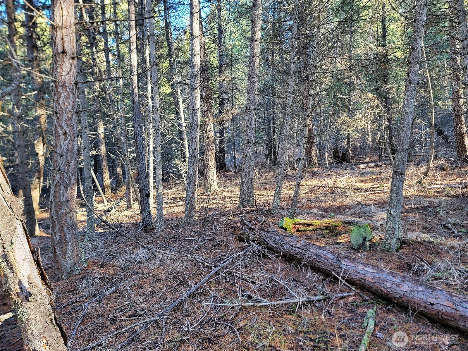 9999 Tbd Lundimo Meadows Road Property Photo 3