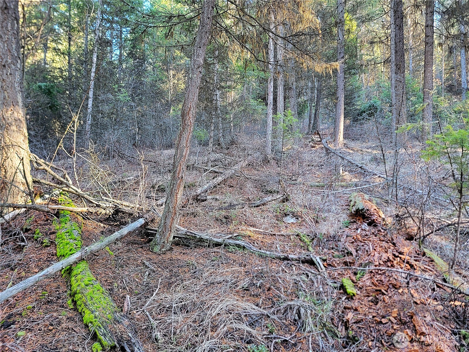 9999 Tbd Lundimo Meadows Road Property Photo 4