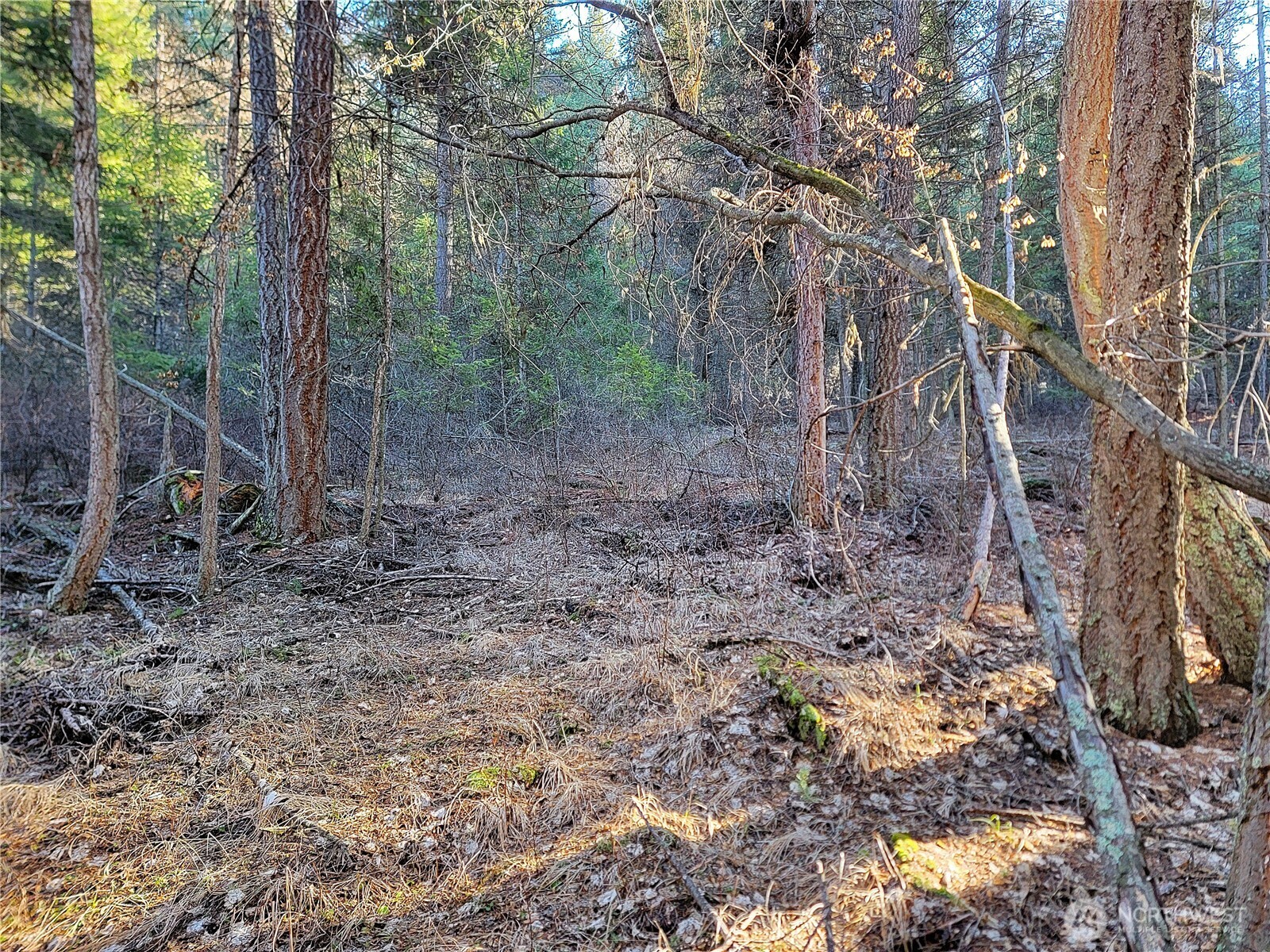 9999 Tbd Lundimo Meadows Road Property Photo 5