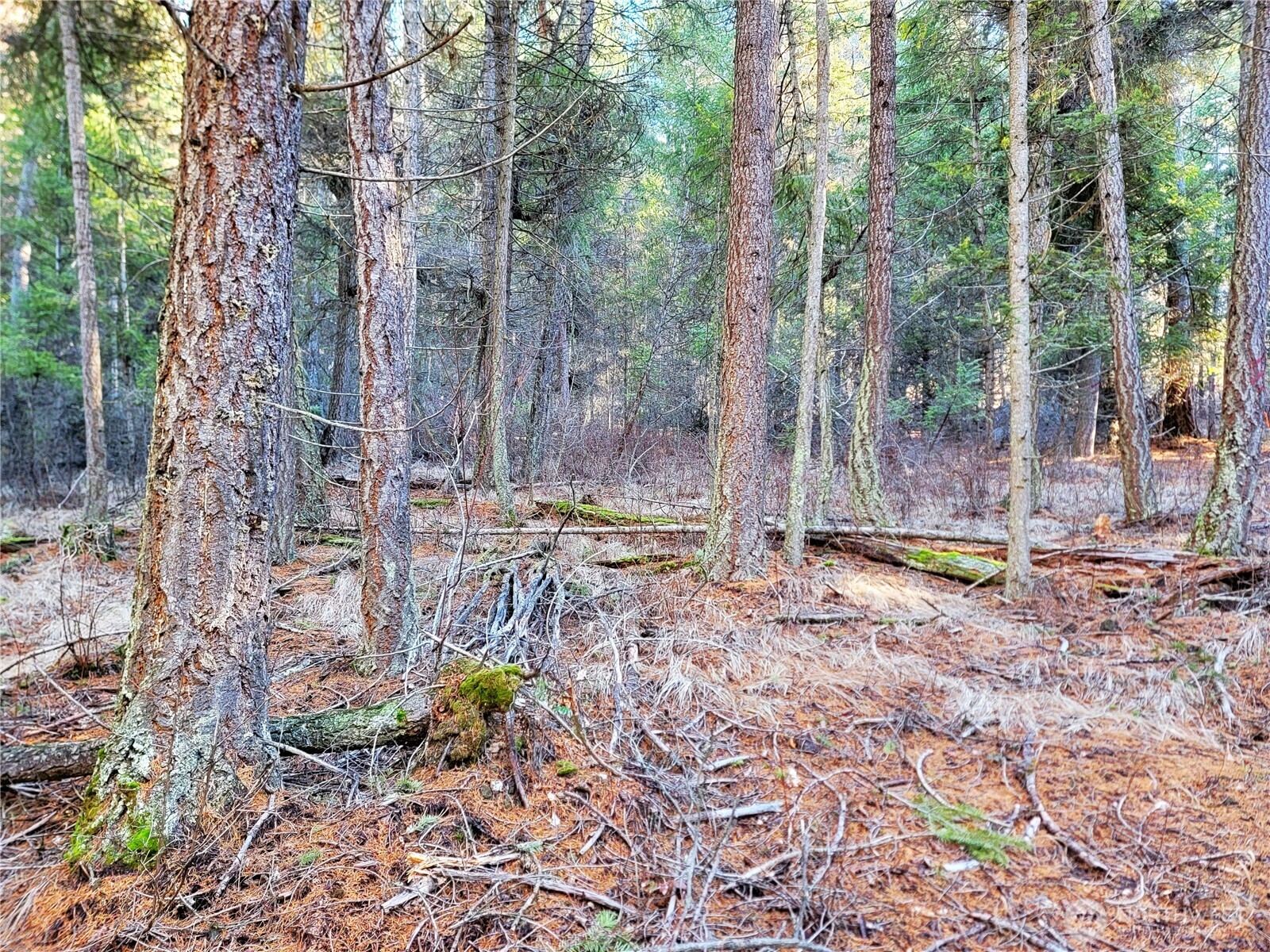 9999 Tbd Lundimo Meadows Road Property Photo 6