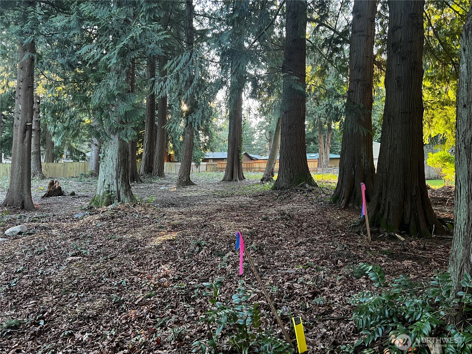 0 Xxx Forest View Drive Property Photo 3