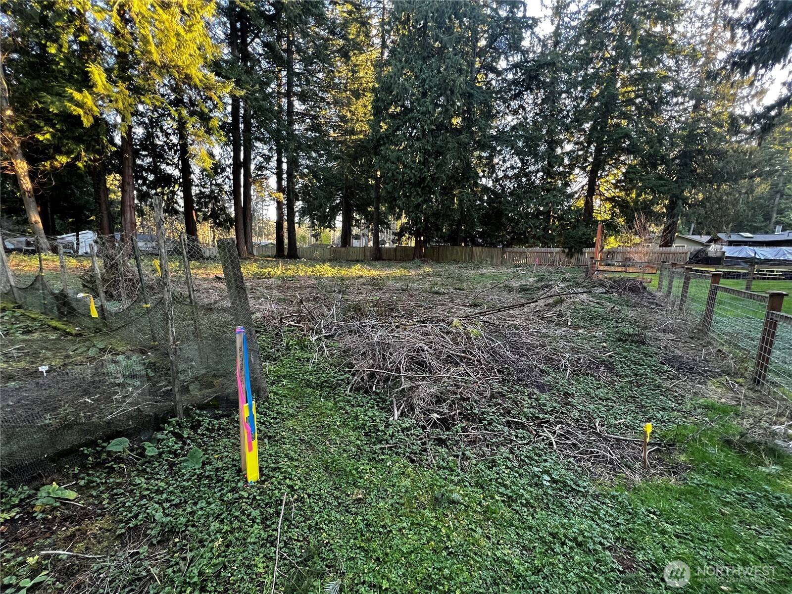 0 Xxx Forest View Drive Property Photo 4