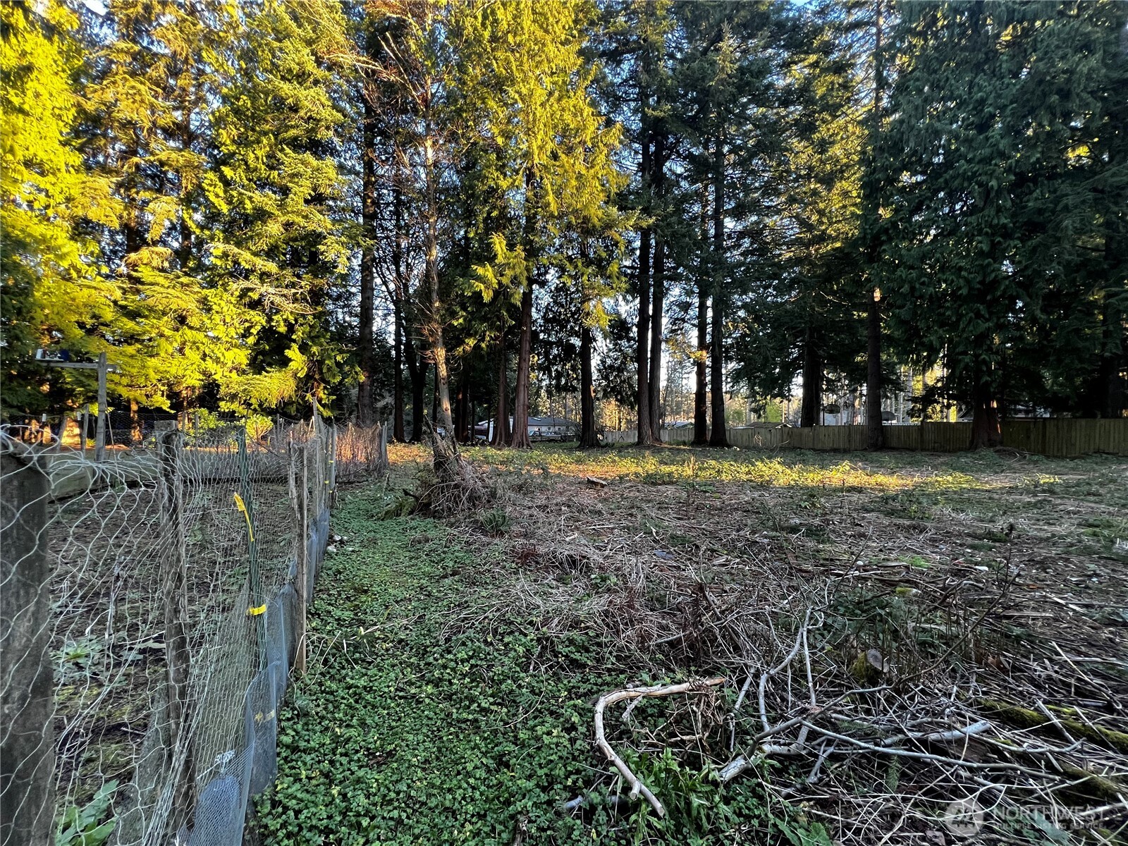 0 Xxx Forest View Drive Property Photo 5