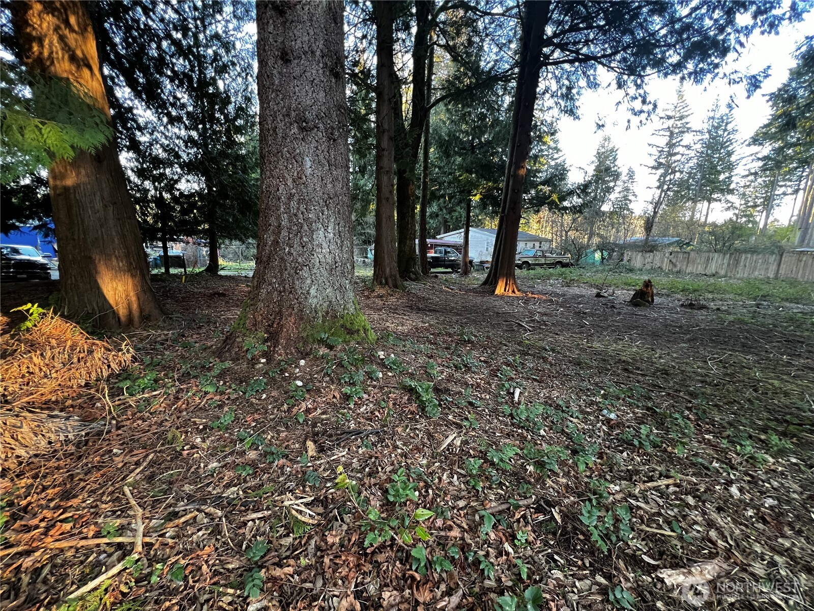 0 Xxx Forest View Drive Property Photo 8