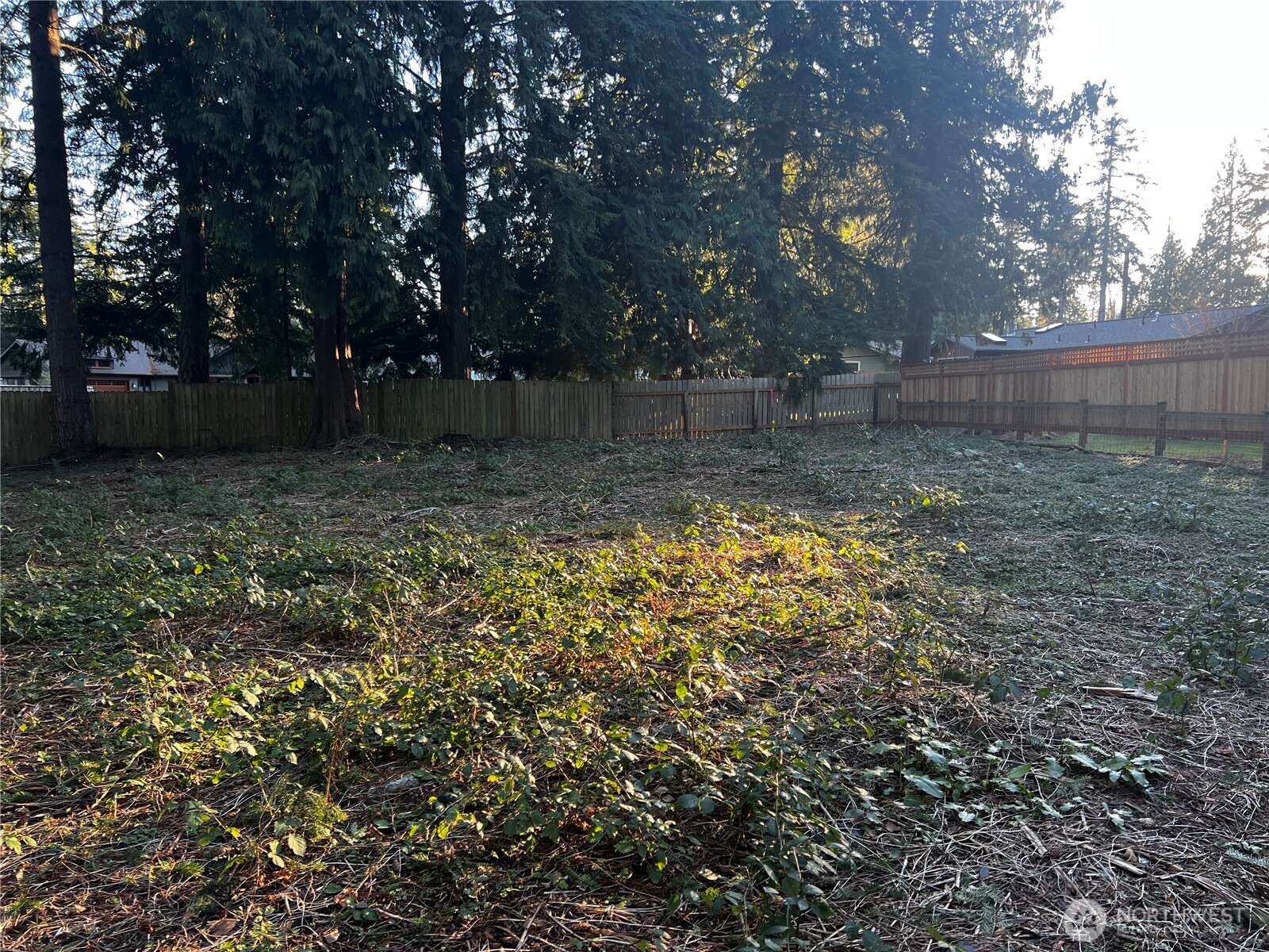 0 Xxx Forest View Drive Property Photo 9