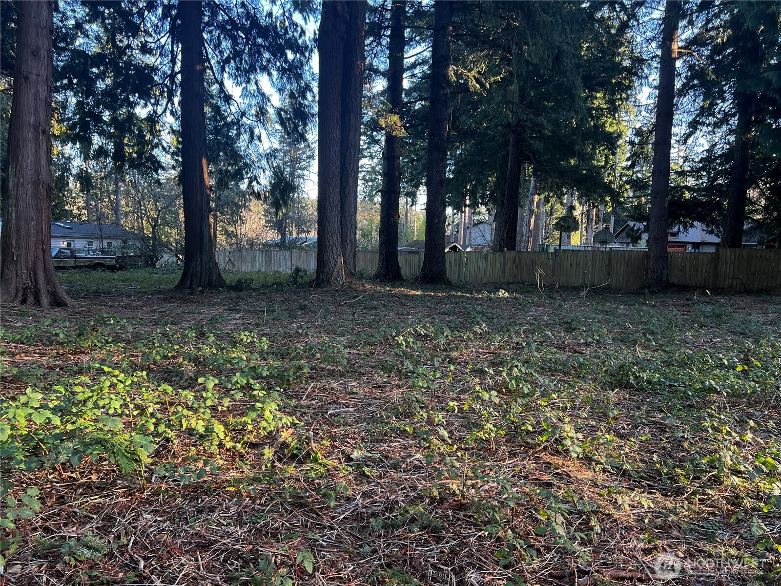 0 Xxx Forest View Drive Property Photo 10