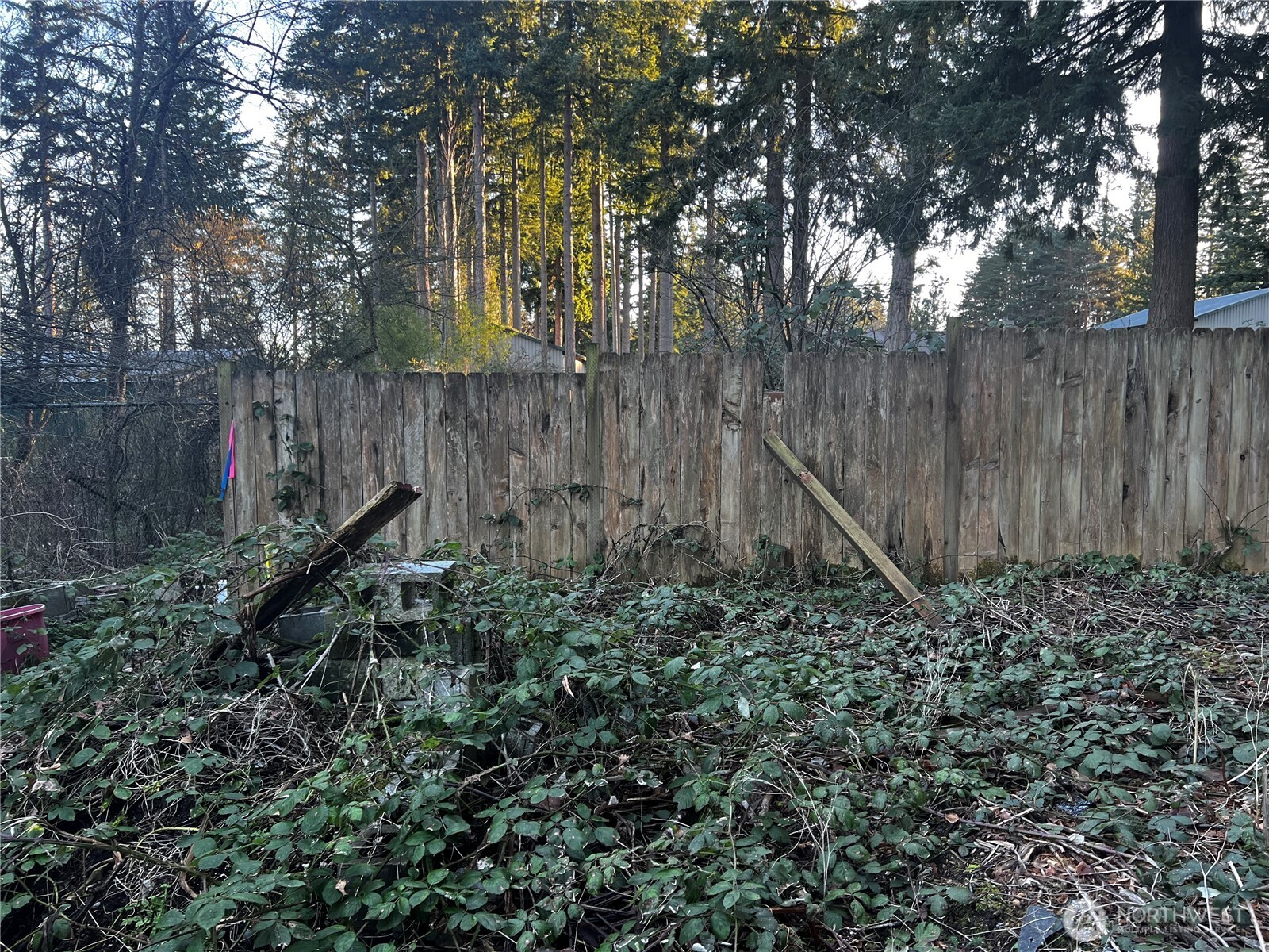 0 Xxx Forest View Drive Property Photo 11