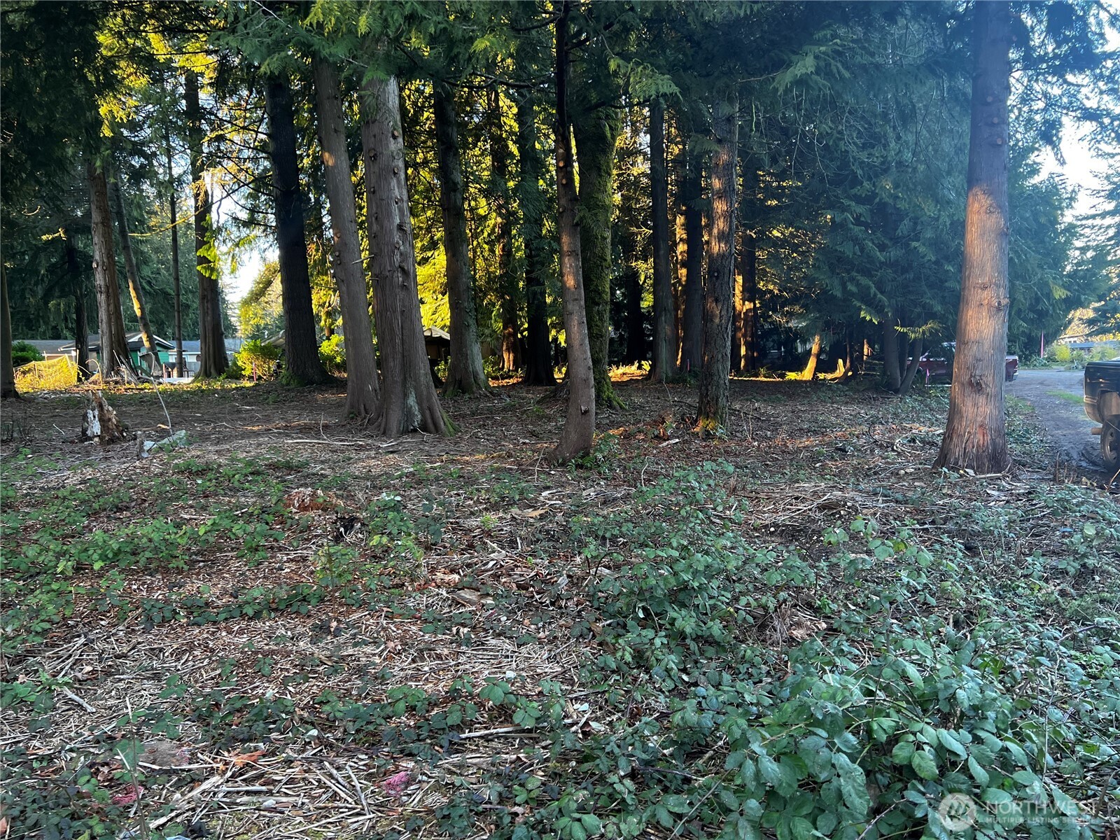 0 Xxx Forest View Drive Property Photo 12
