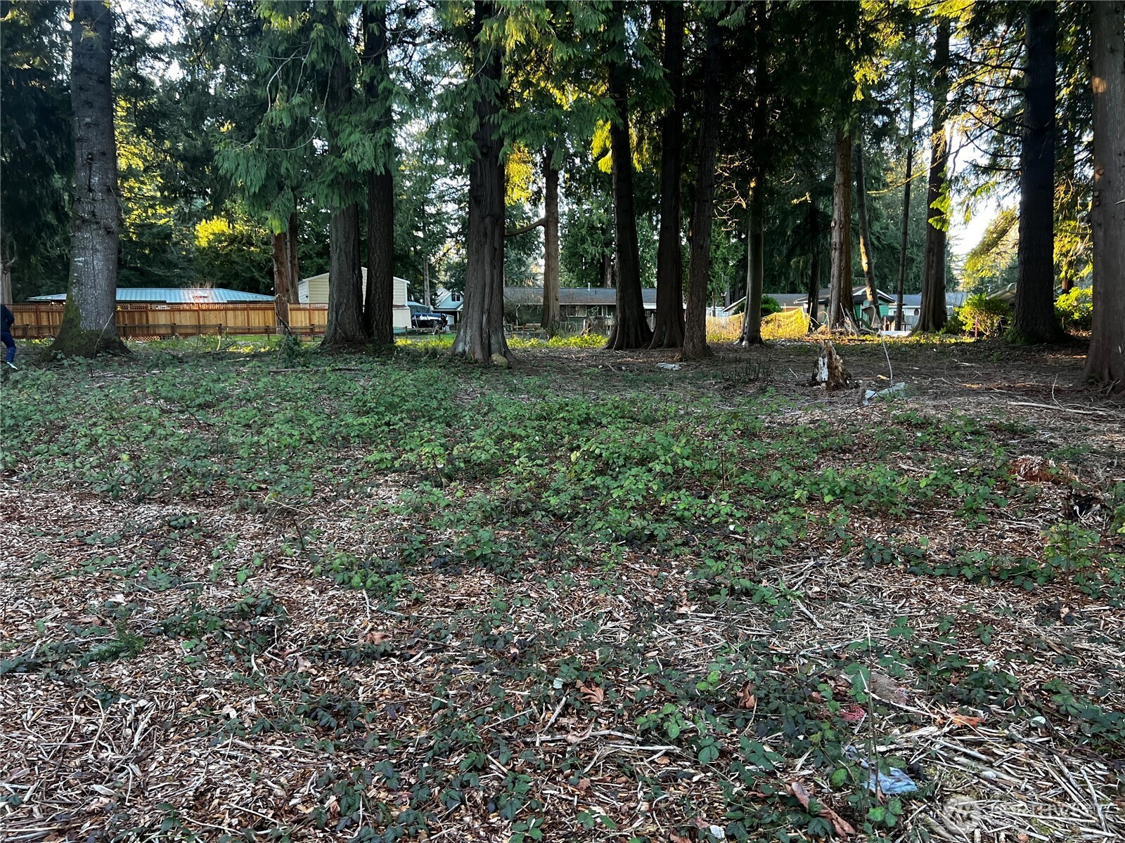 0 Xxx Forest View Drive Property Photo 13