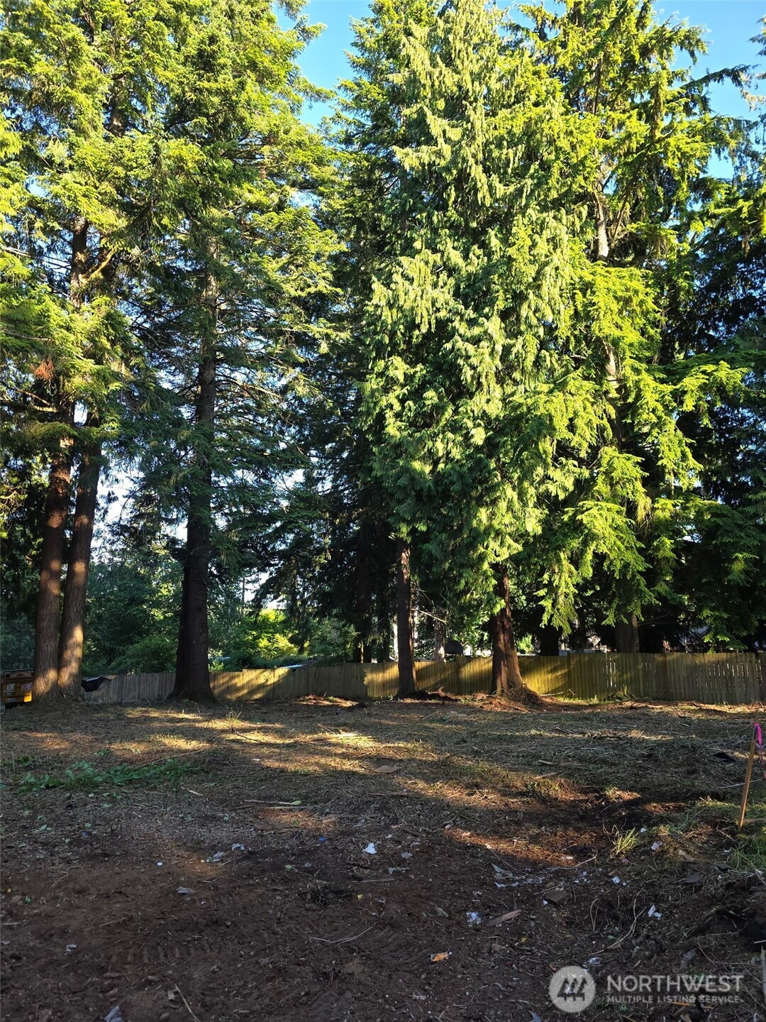0 Xxx Forest View Drive Property Photo 20