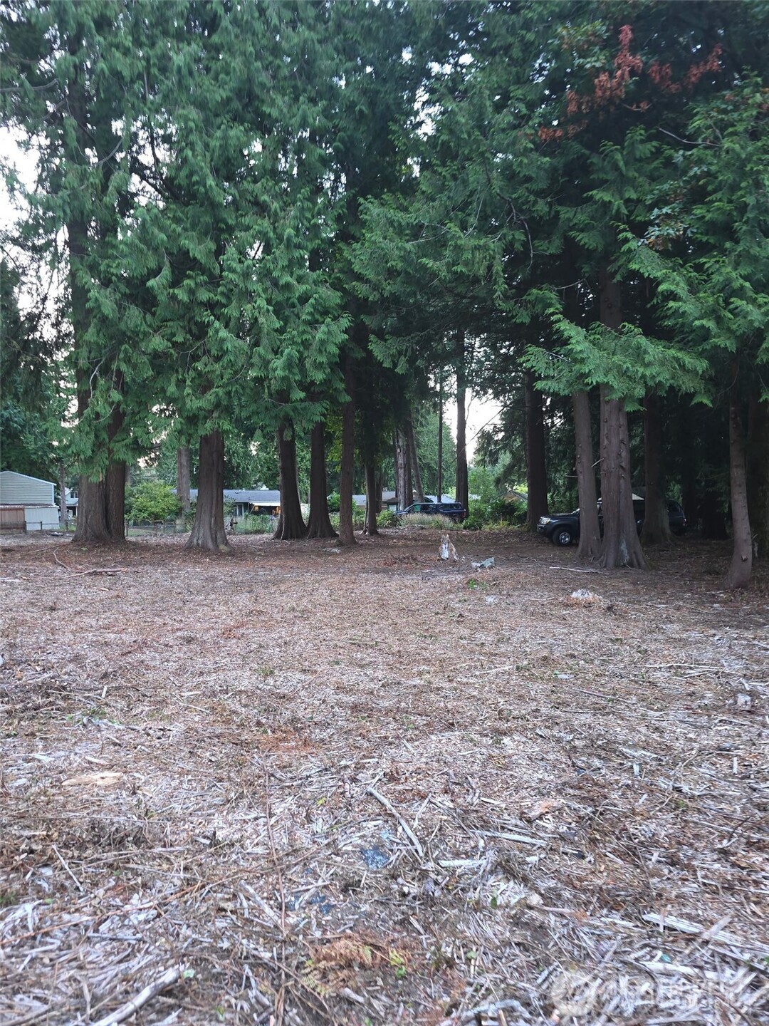0 Xxx Forest View Drive Property Photo 38