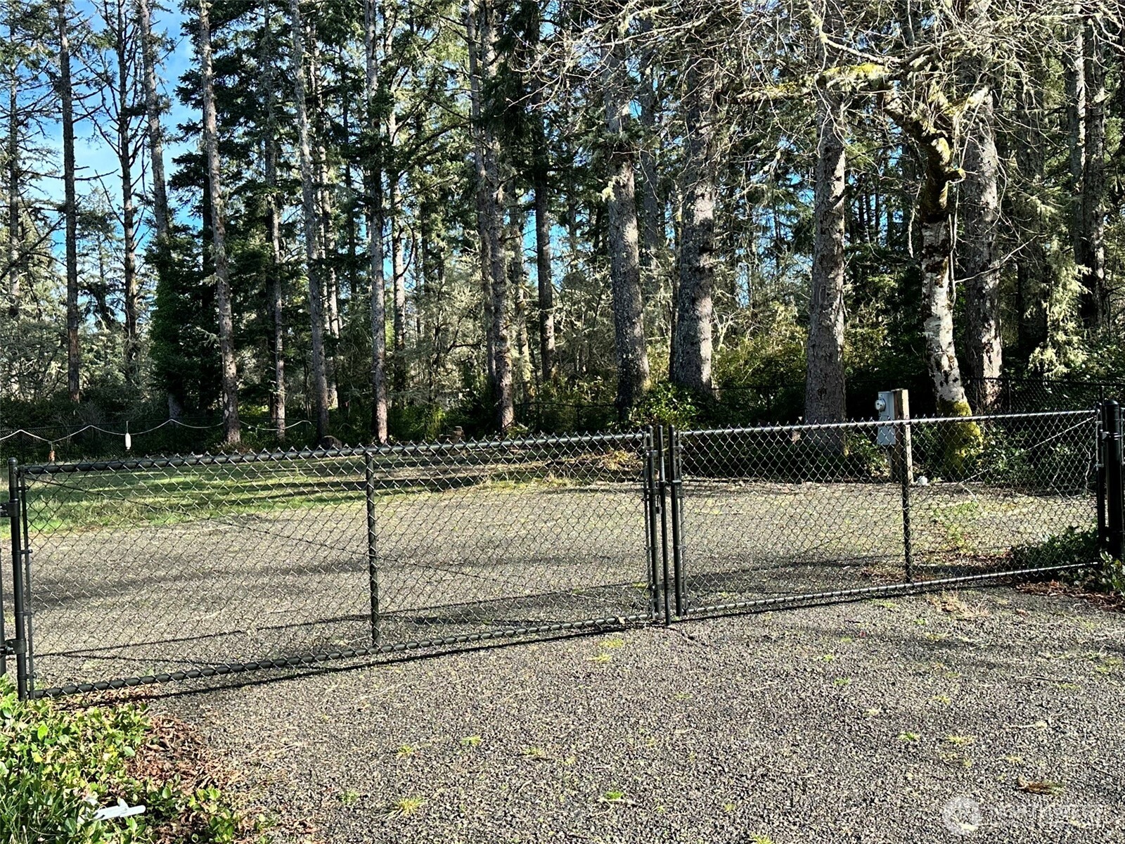 864 Hassalo Avenue Property Photo 3