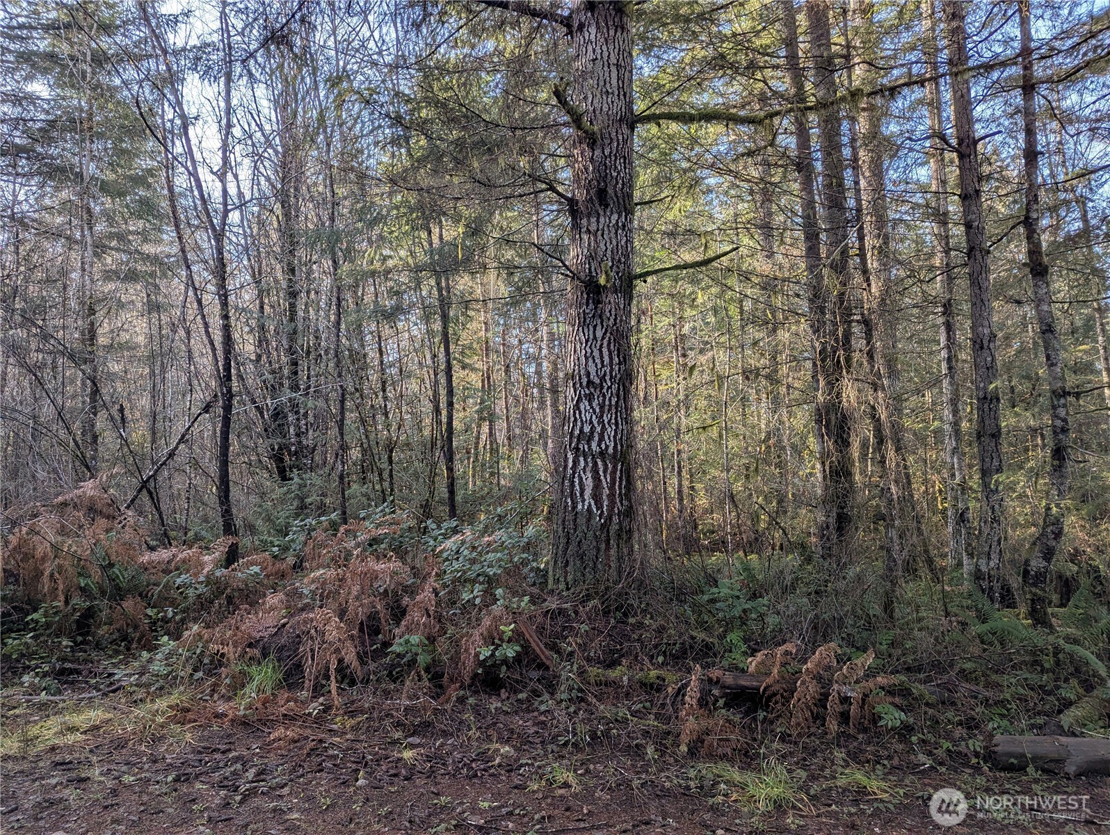0 E Savage Property Photo 1