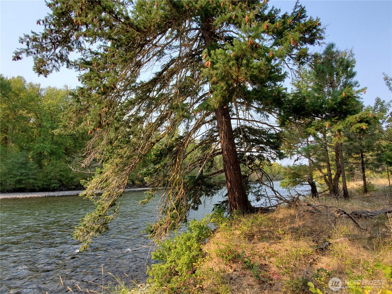 55 Highway 10 Property Photo 11