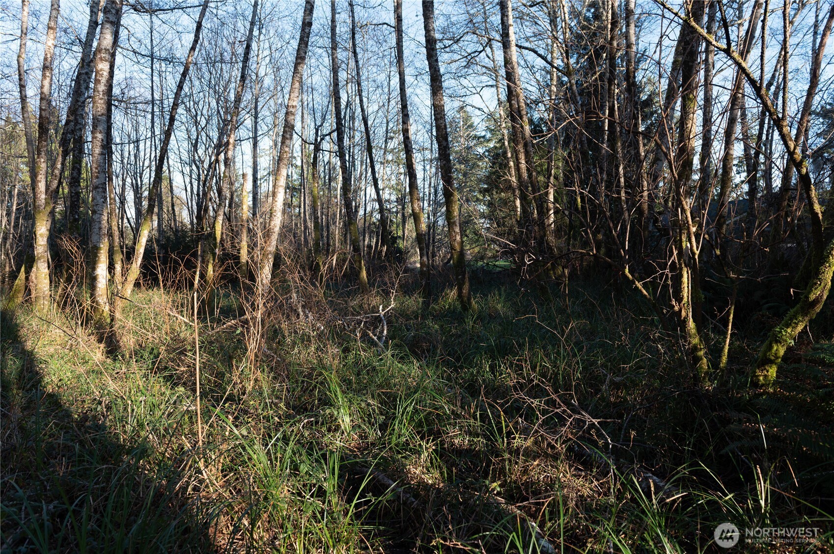 0 W Newell Avenue Property Photo 4